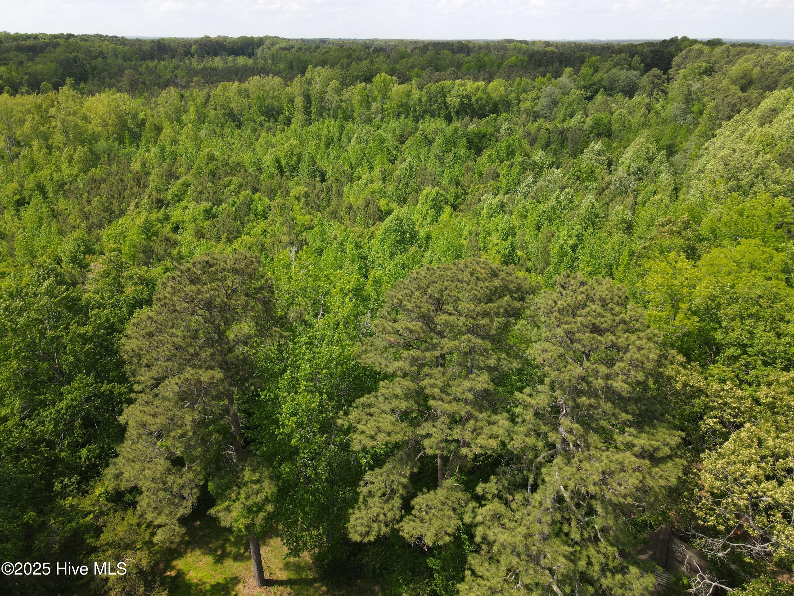 00 Alert Road Property Photo 26