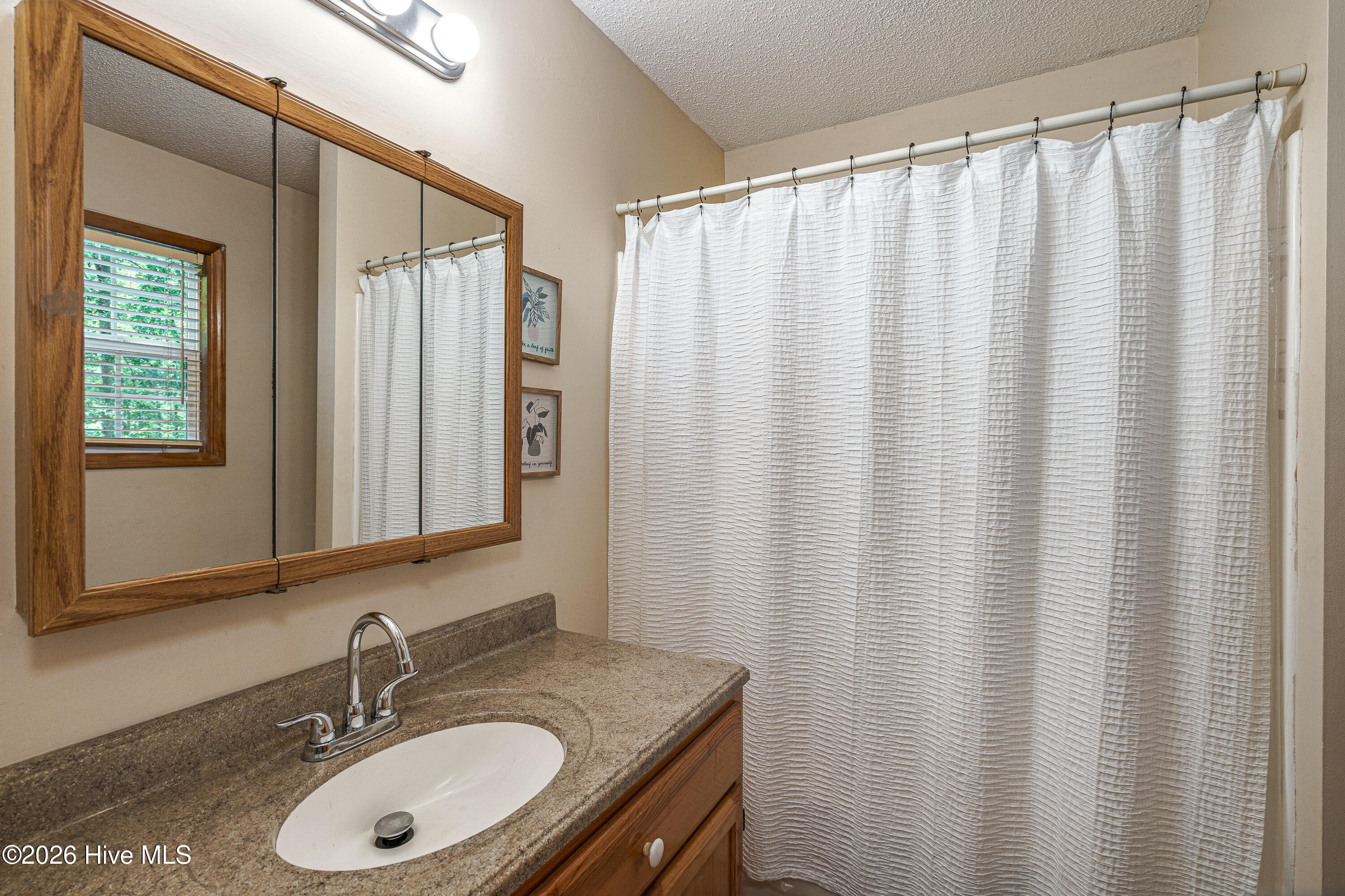 55 Laurel Spring Drive Property Photo 10