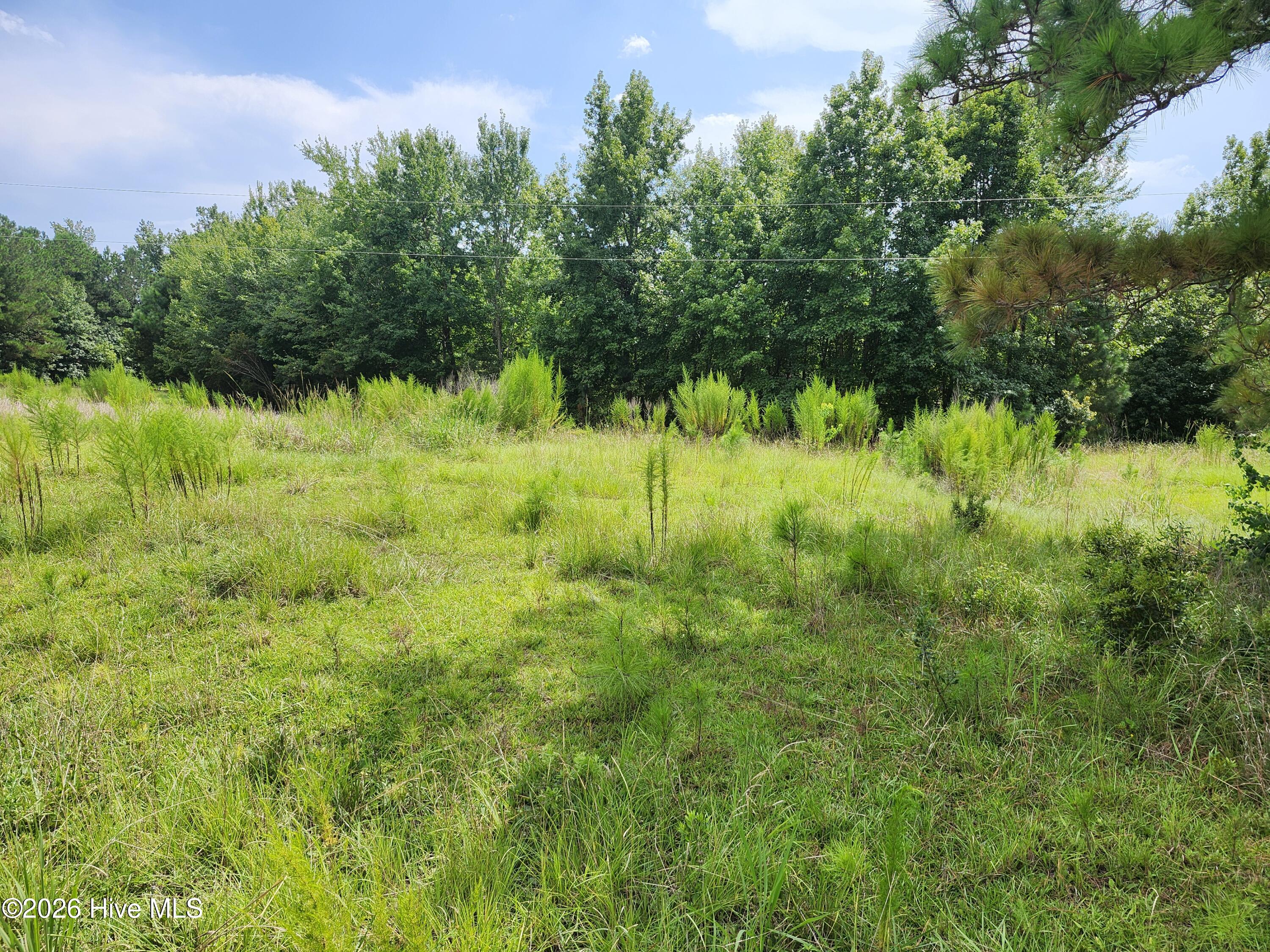 306 16 Revised Howards Landing Road Property Photo 2