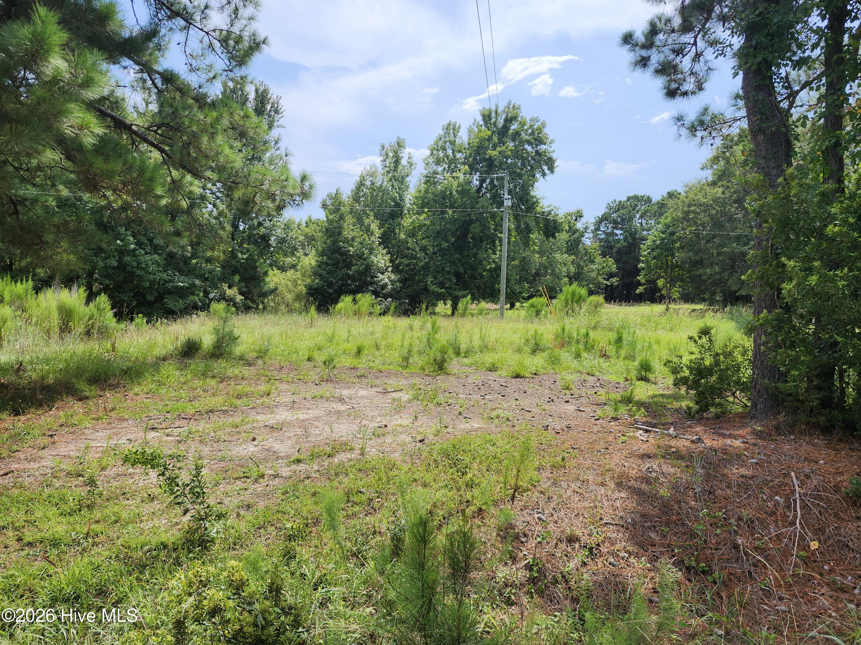 306 16 Revised Howards Landing Road Property Photo 3