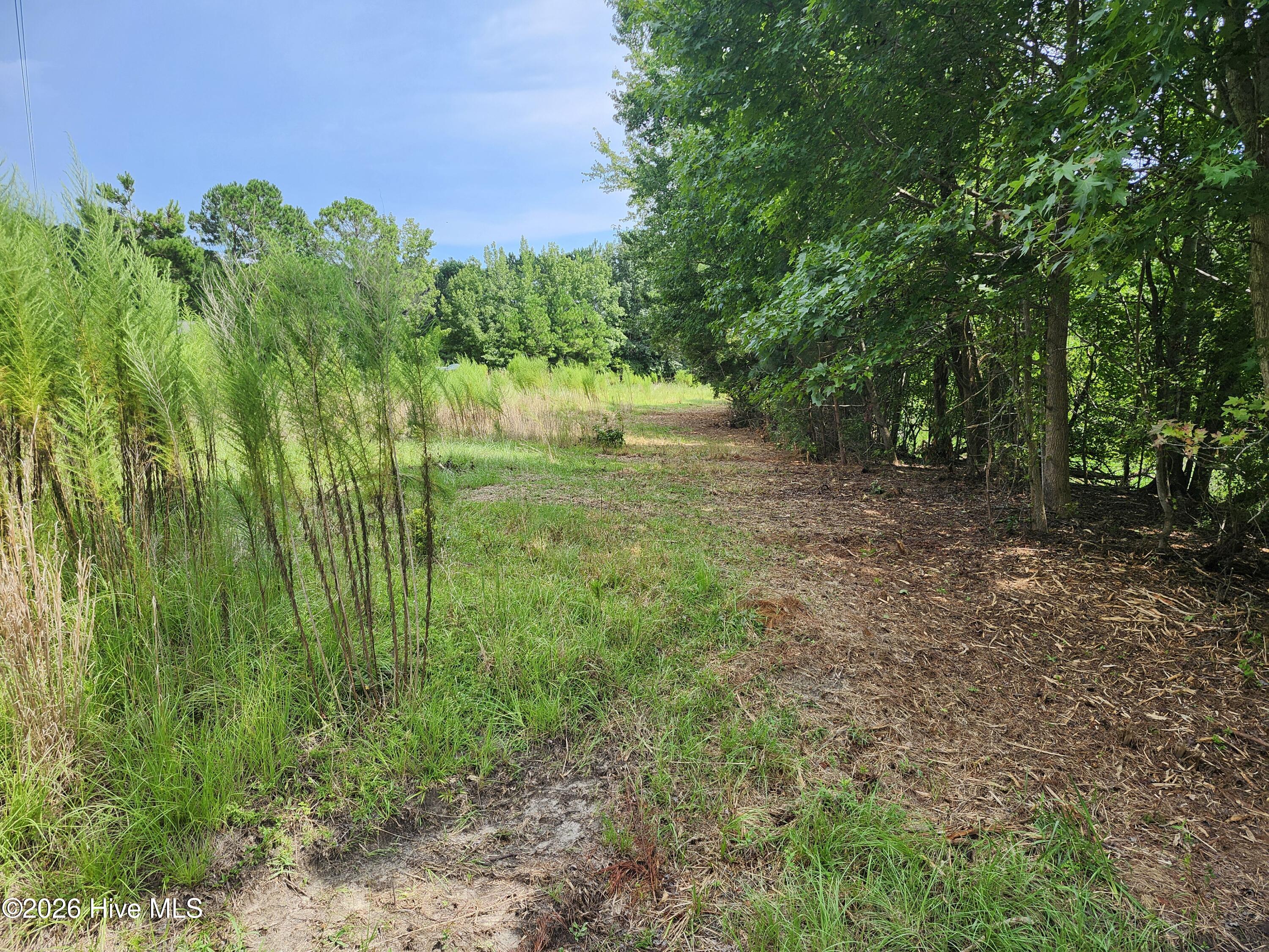 306 16 Revised Howards Landing Road Property Photo 4