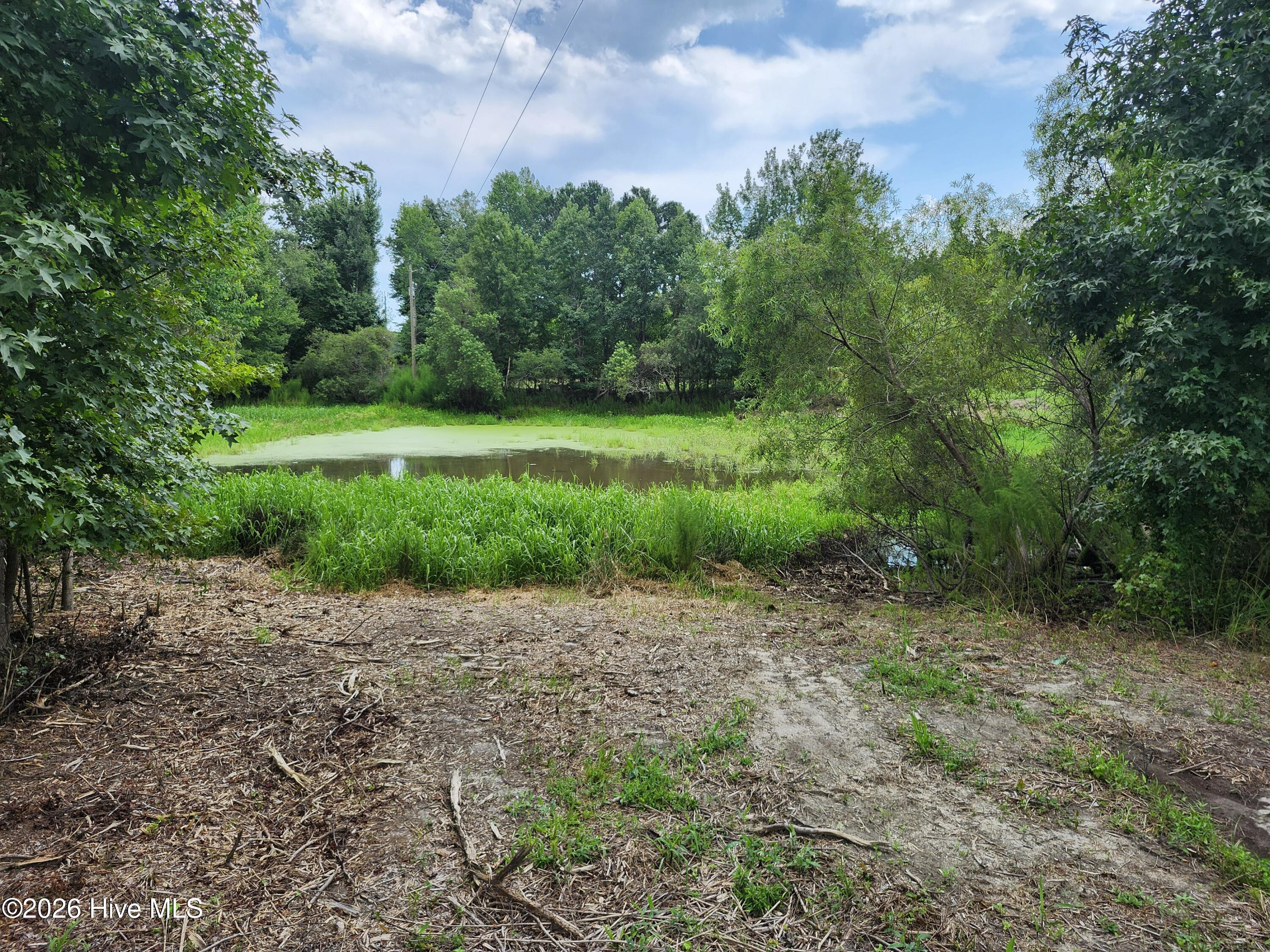 306 16 Revised Howards Landing Road Property Photo 5