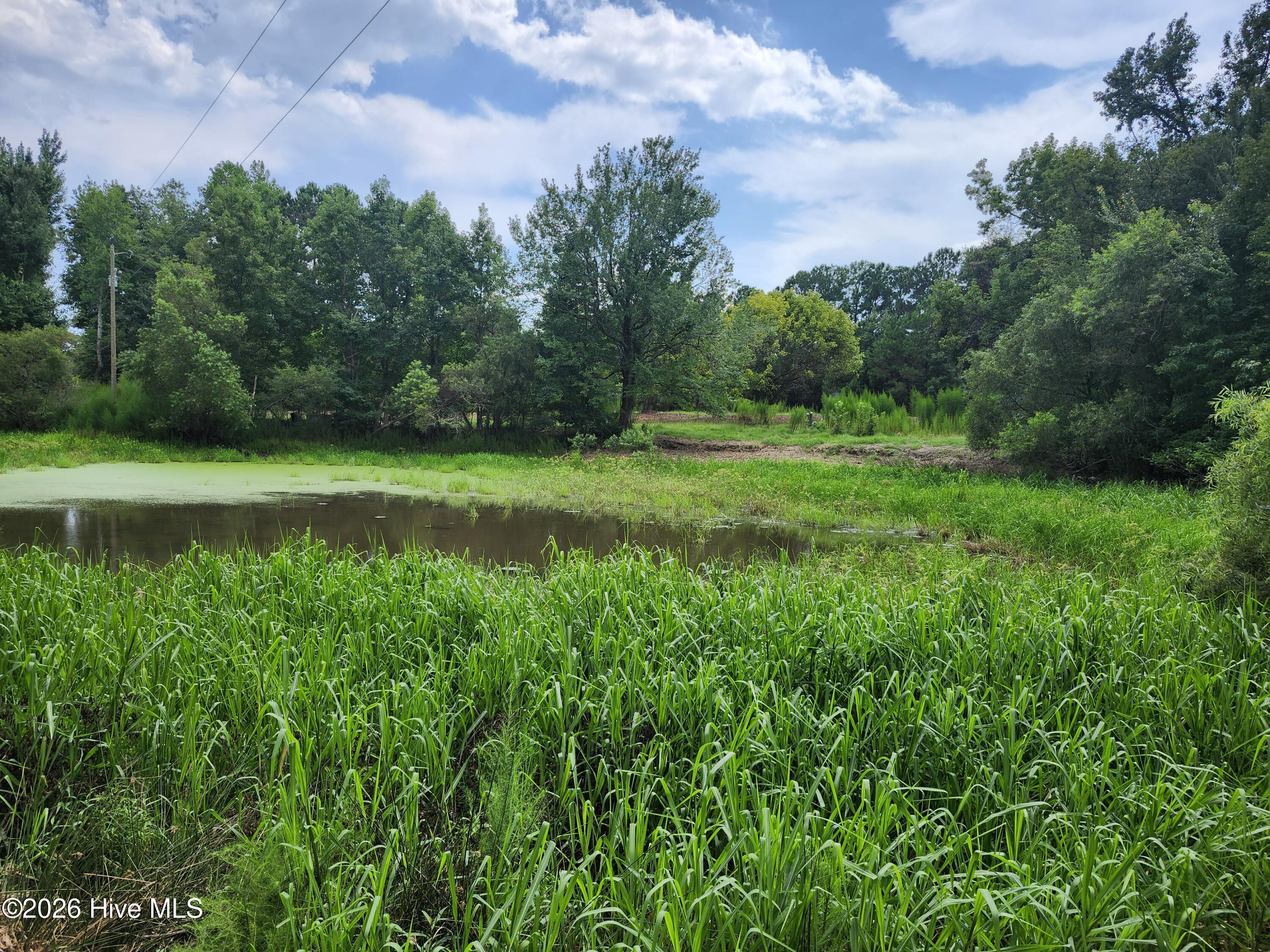 306 16 Revised Howards Landing Road Property Photo 6