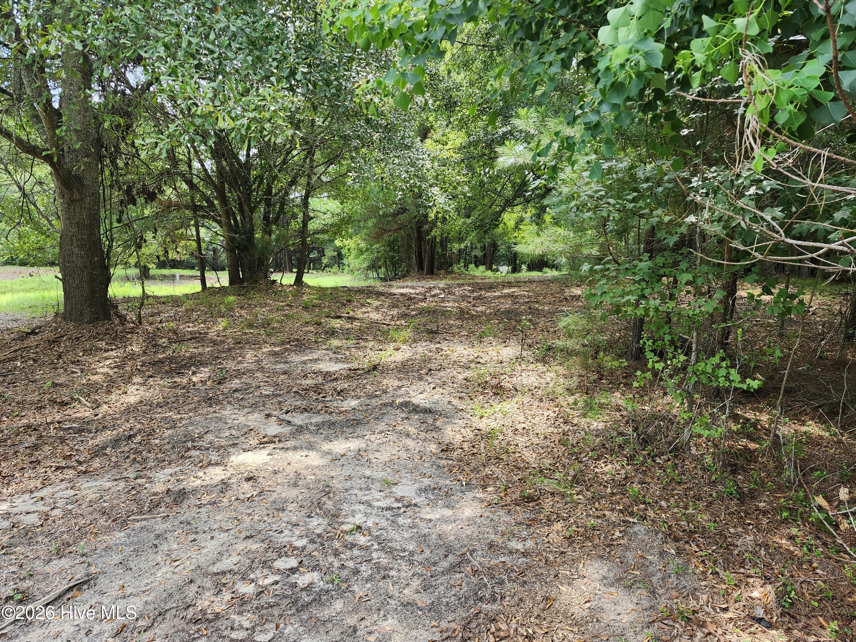 306 16 Revised Howards Landing Road Property Photo 9