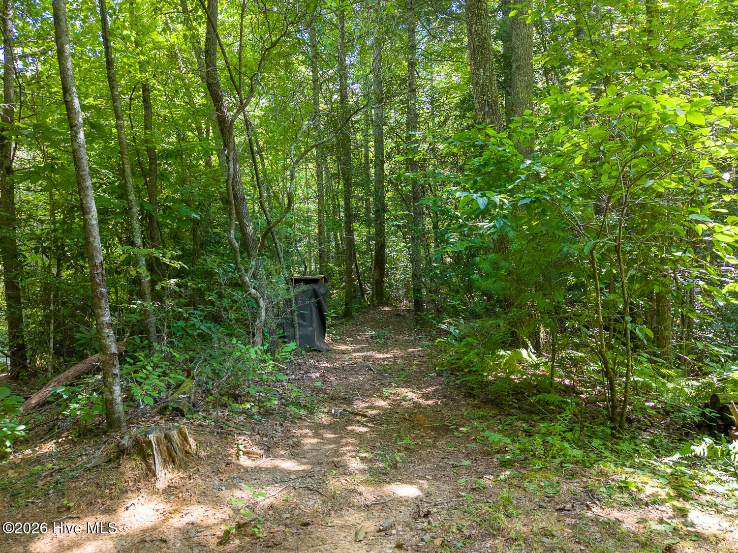 314 Carringer Road Property Photo 42