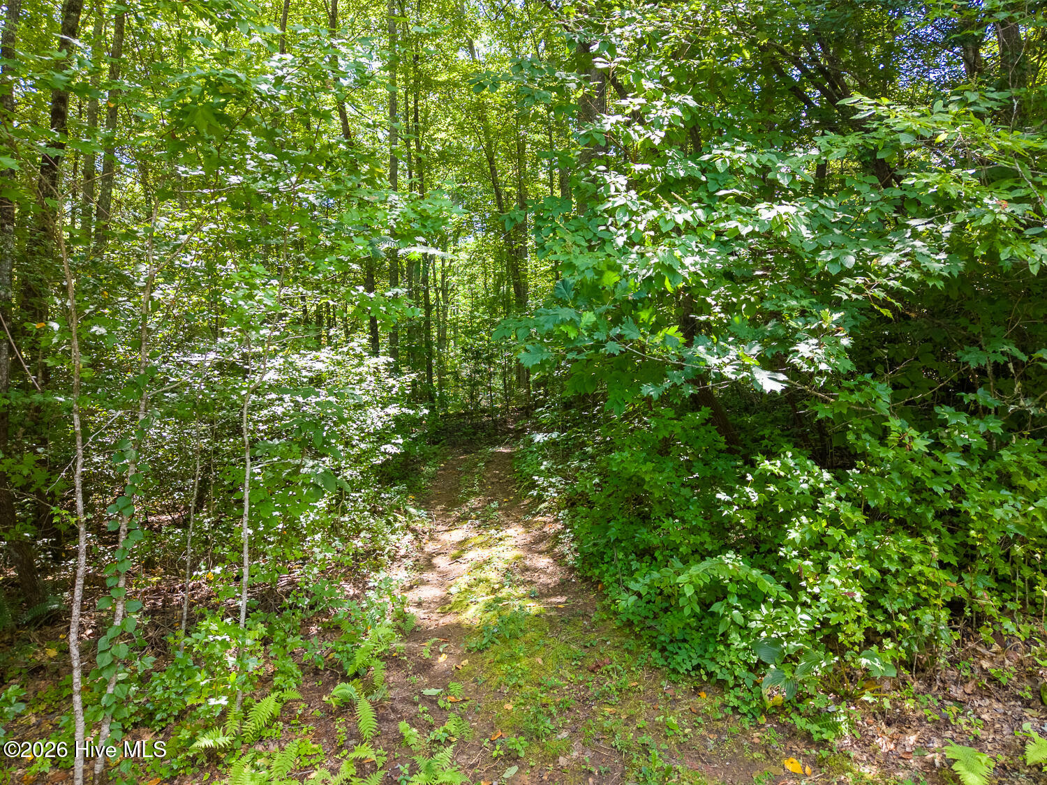 314 Carringer Road Property Photo 43