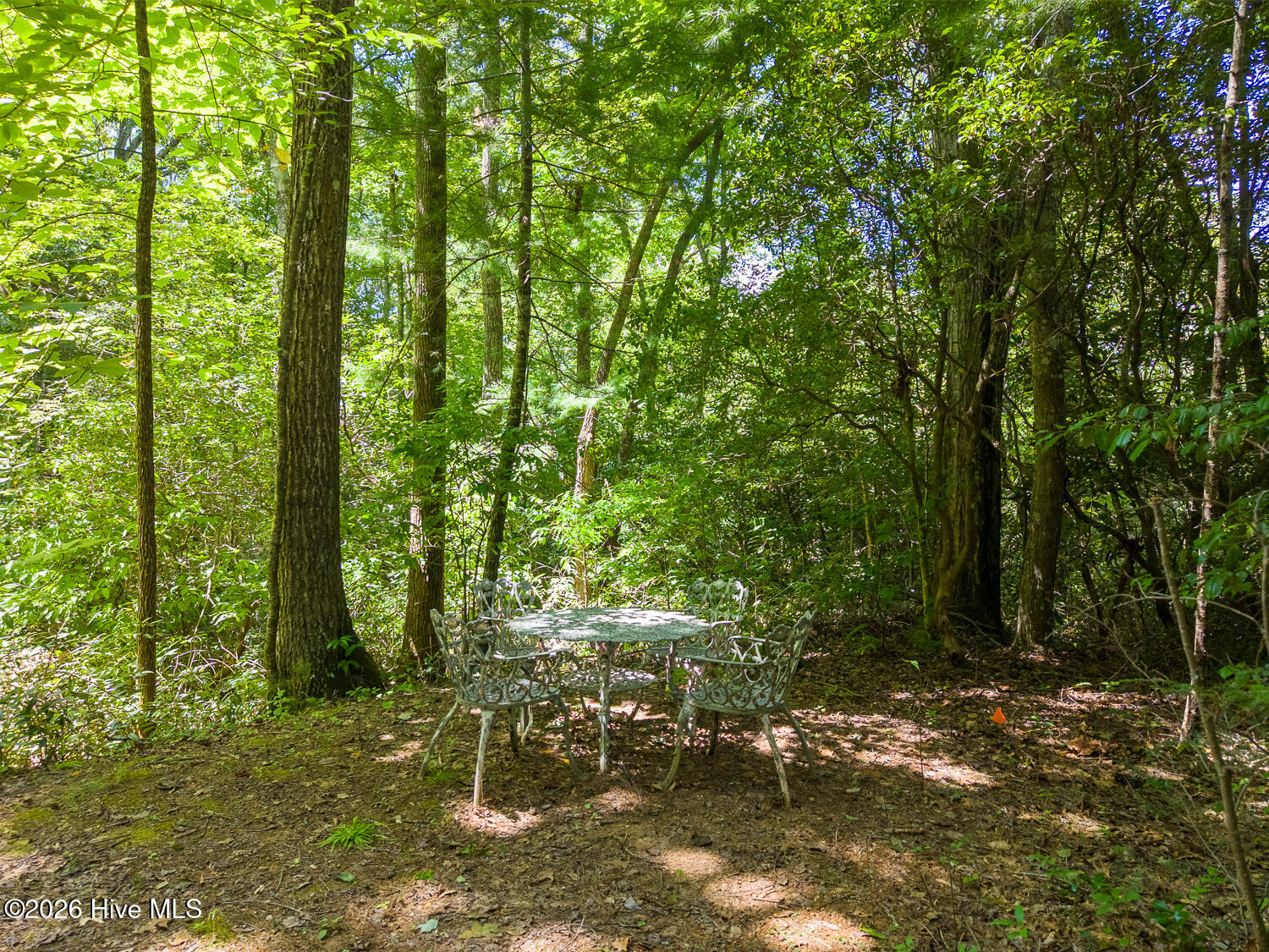 314 Carringer Road Property Photo 44