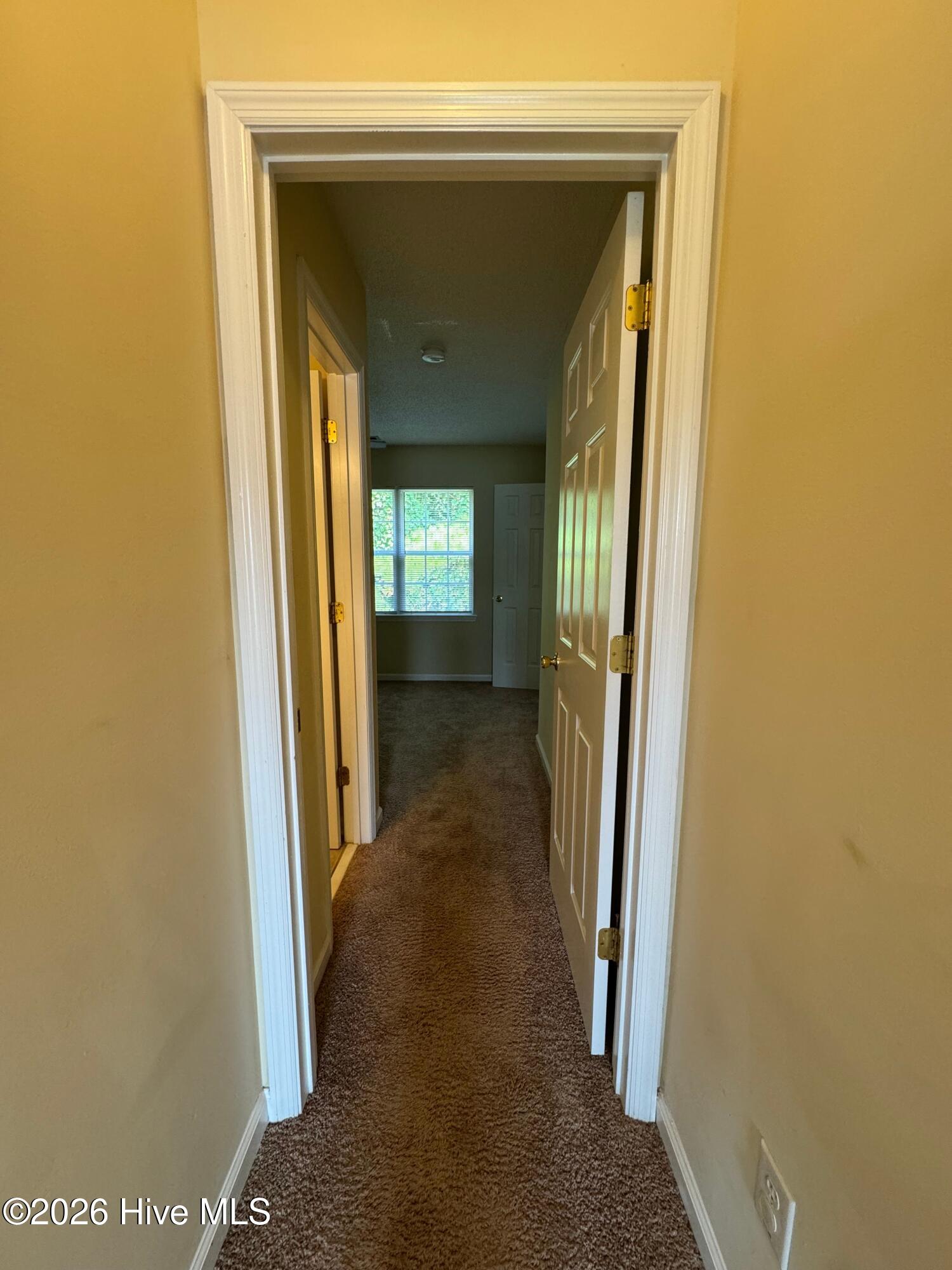 1005 Timberlake Trail Property Photo 25