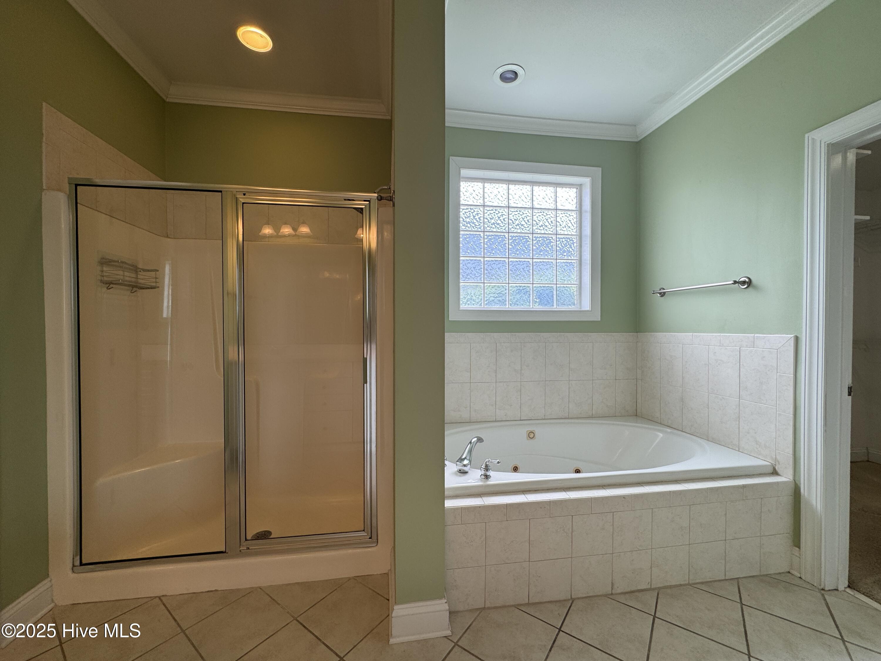 1011 Ginger Lily Way Property Photo 14