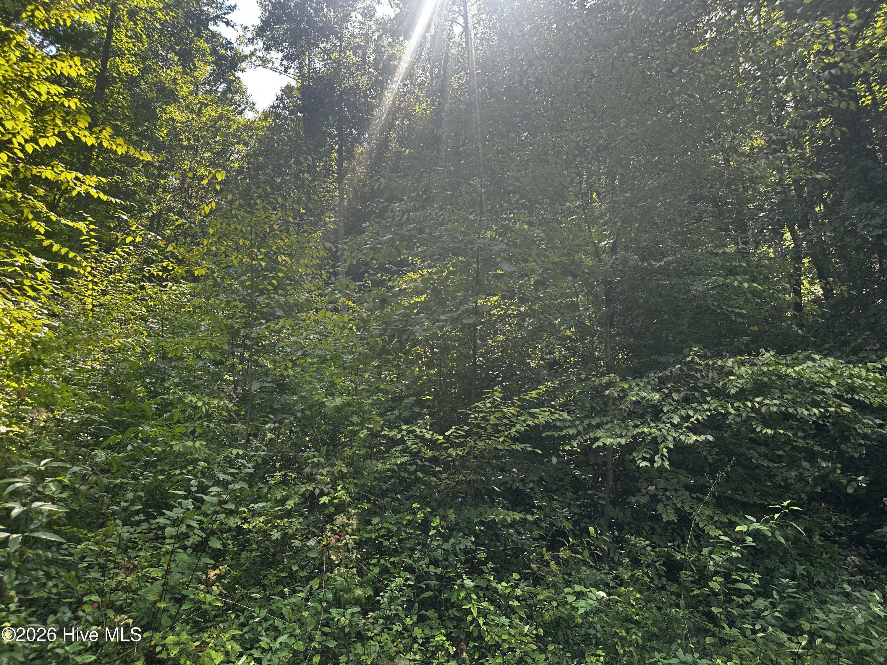 2710 Junaluska Road Property Photo 6