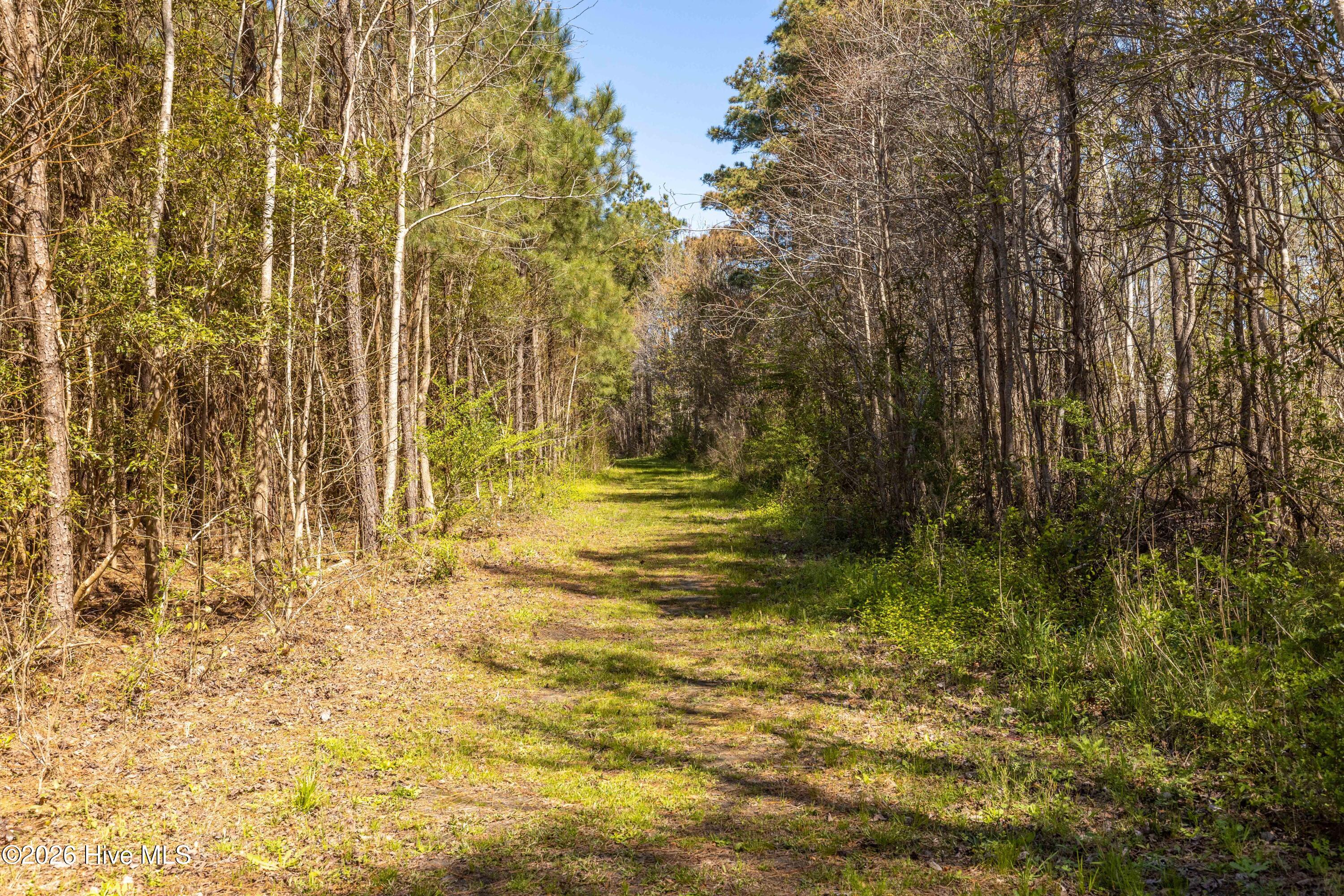 103 Winters Rest Road Property Photo 13