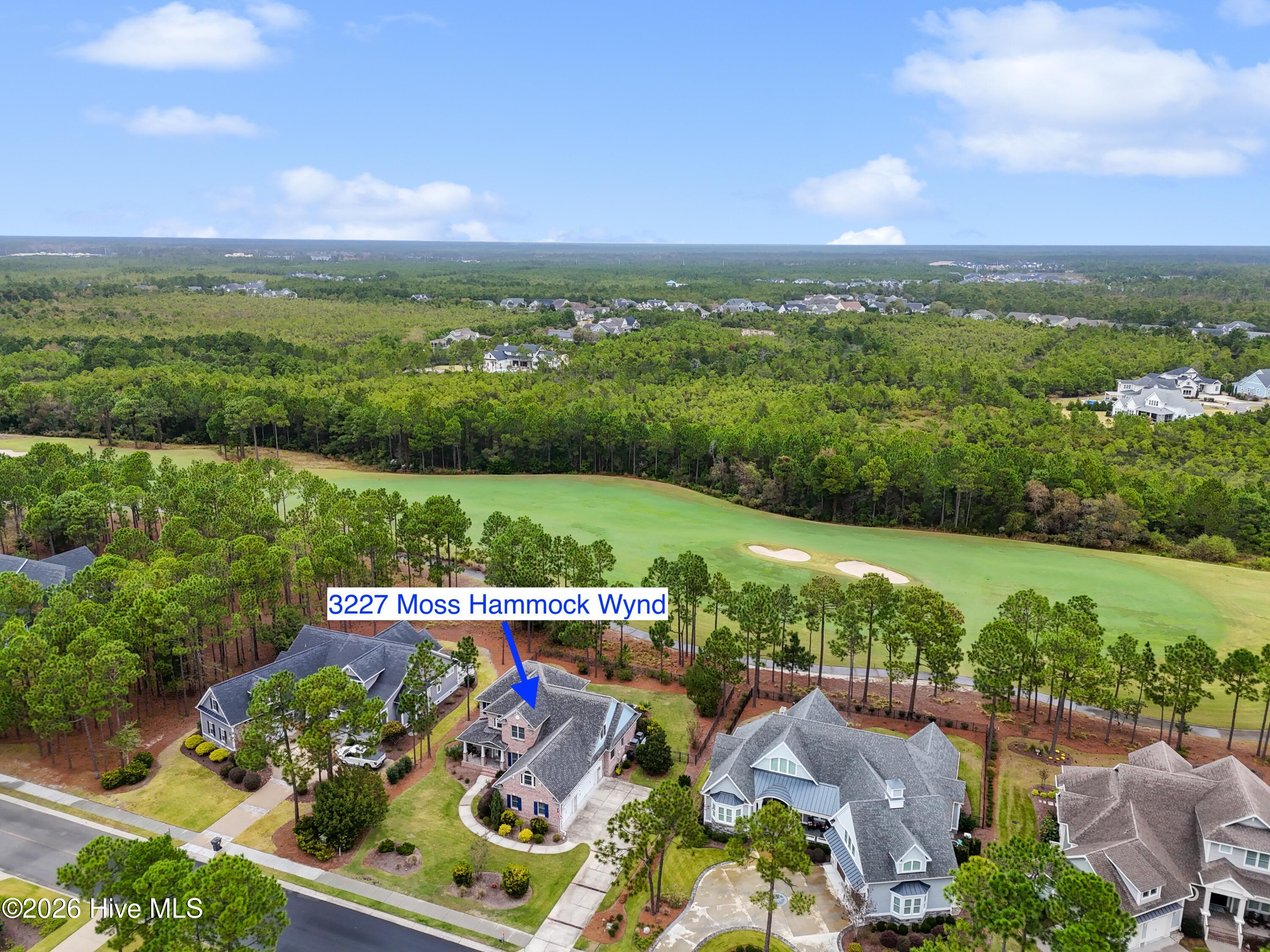 3227 Moss Hammock Wynd Property Photo 1