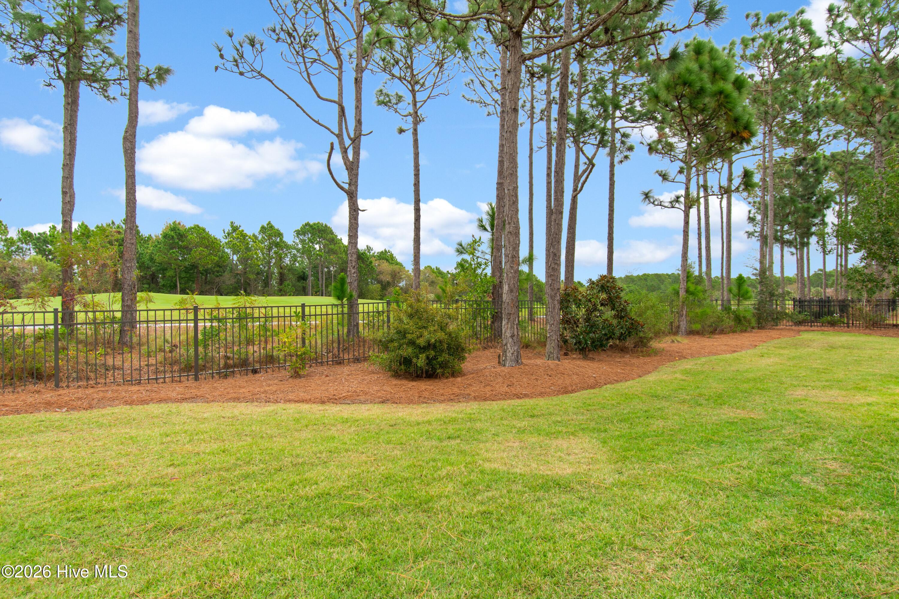 3227 Moss Hammock Wynd Property Photo 6