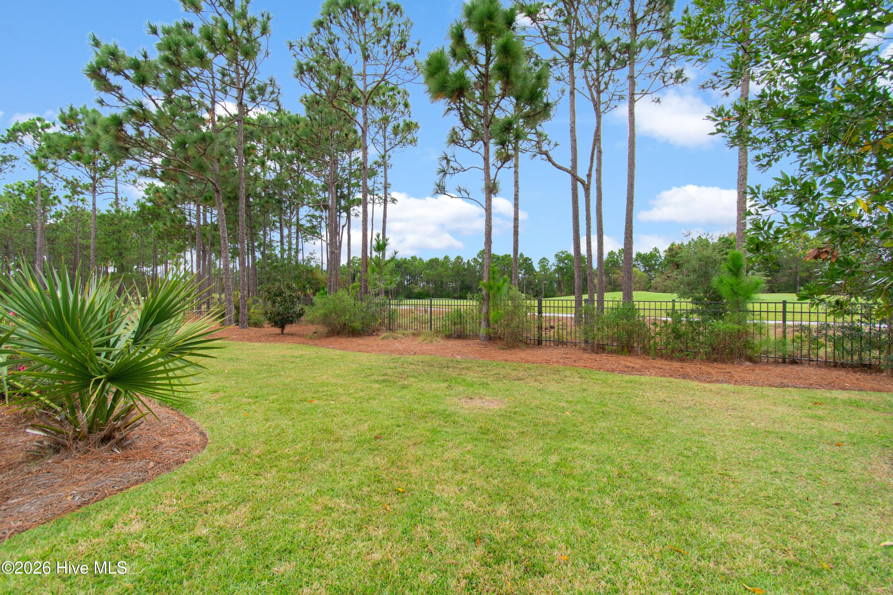 3227 Moss Hammock Wynd Property Photo 50