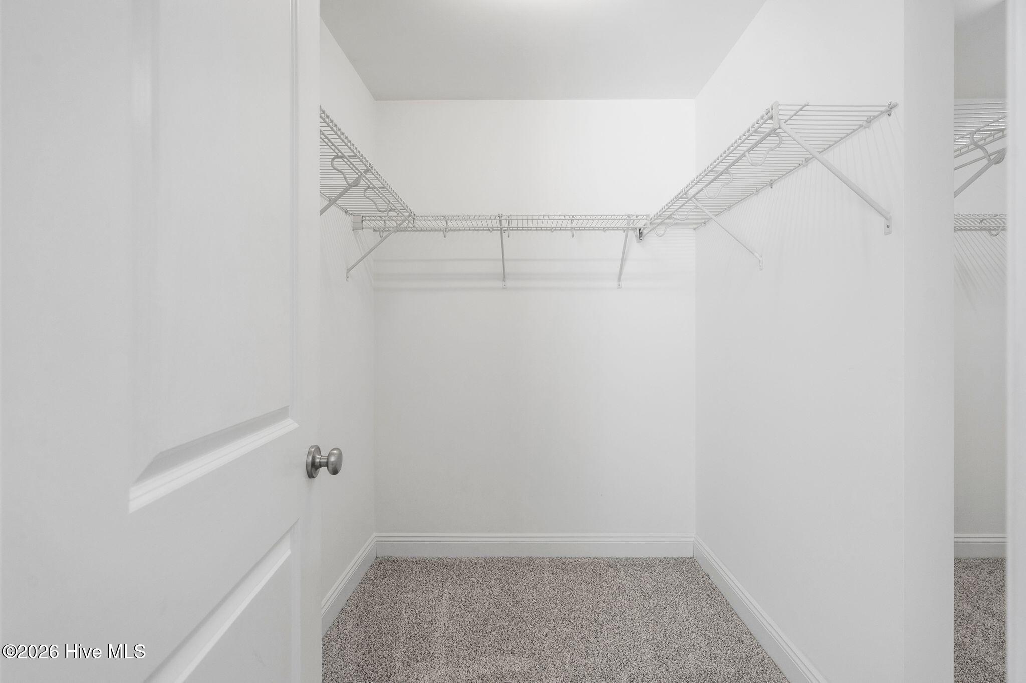 209 Palm Grove Drive Property Photo 36