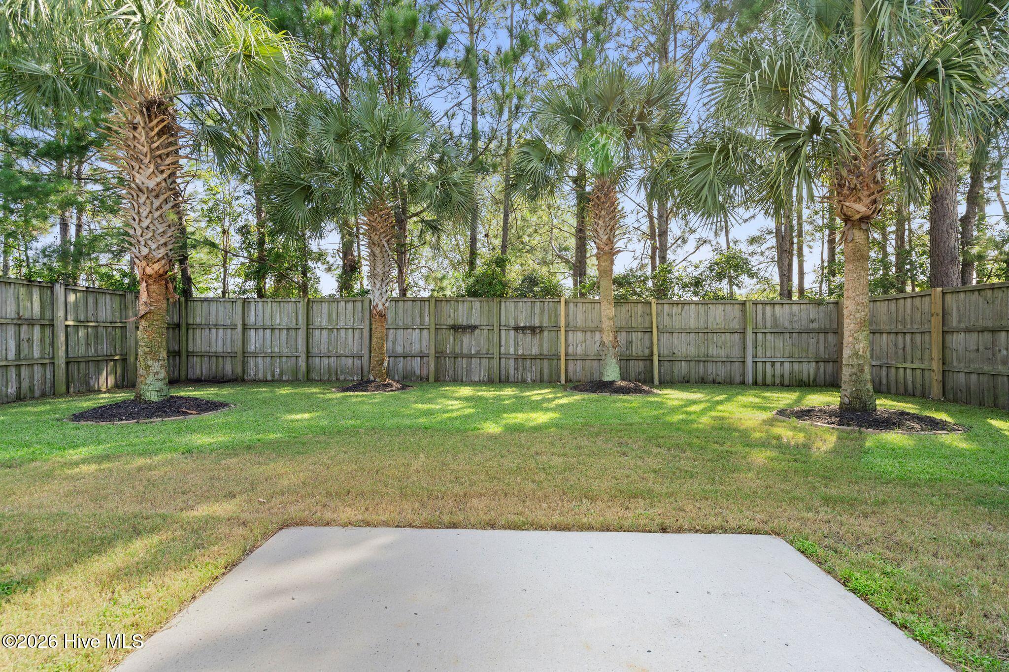 209 Palm Grove Drive Property Photo 53