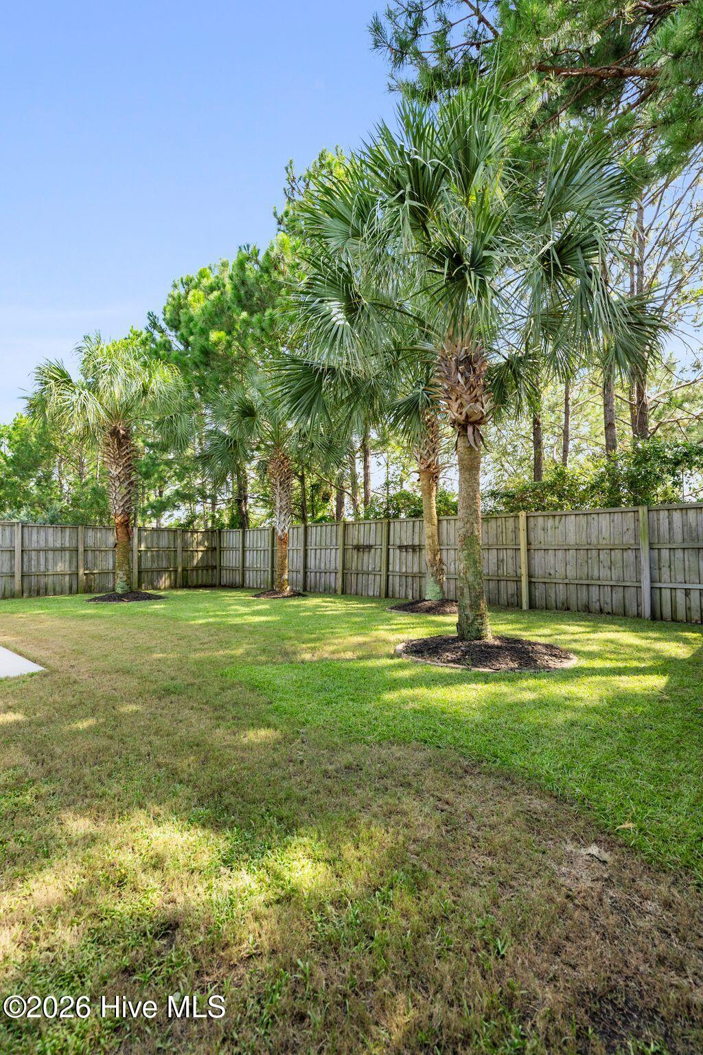 209 Palm Grove Drive Property Photo 55