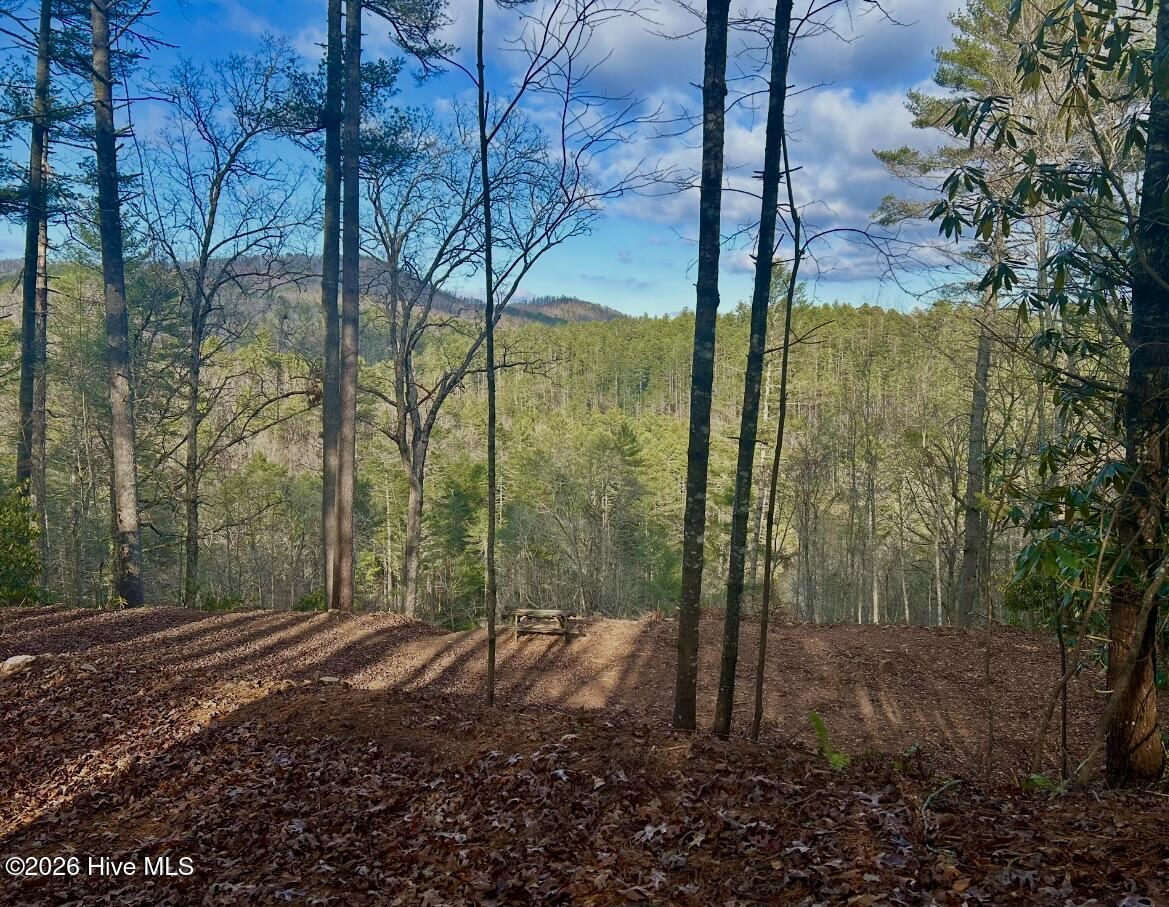 84 Nottley Ridge Road Property Photo 7