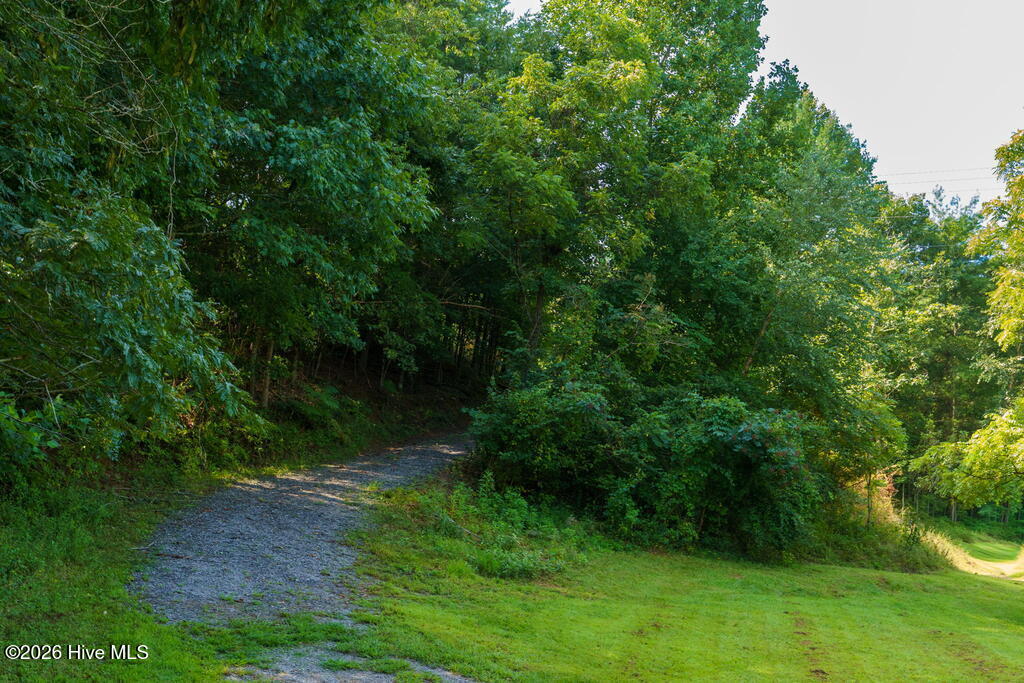 45 Green Cove Road Property Photo 19