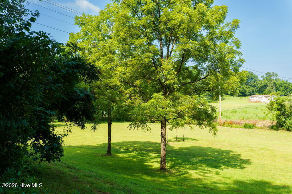 45 Green Cove Road Property Photo 20
