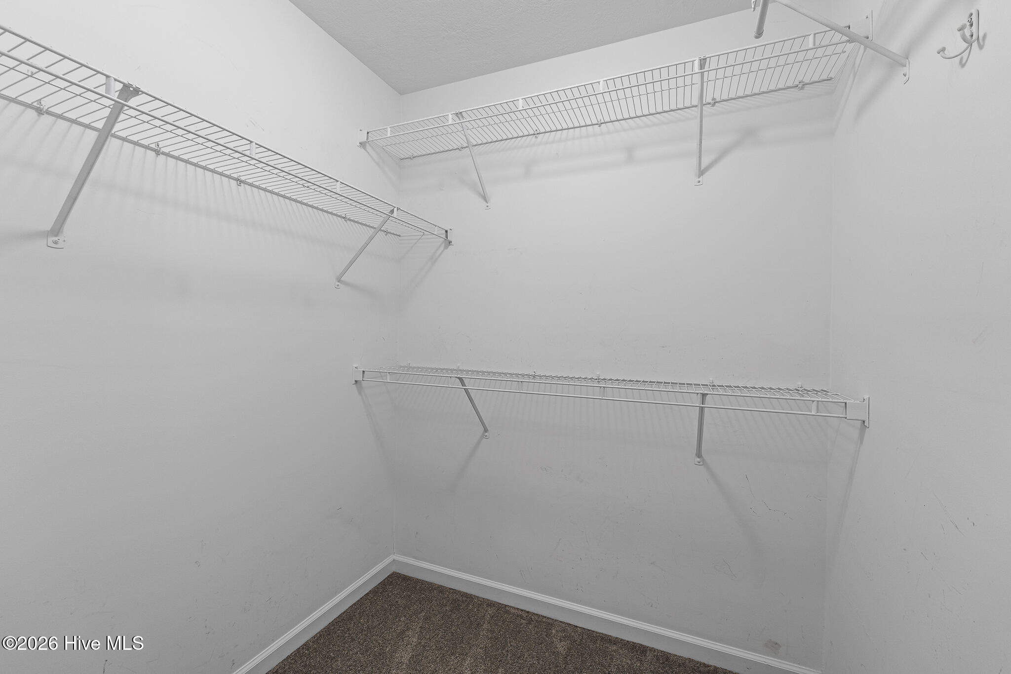 815 Whispering Willow Court Property Photo 14