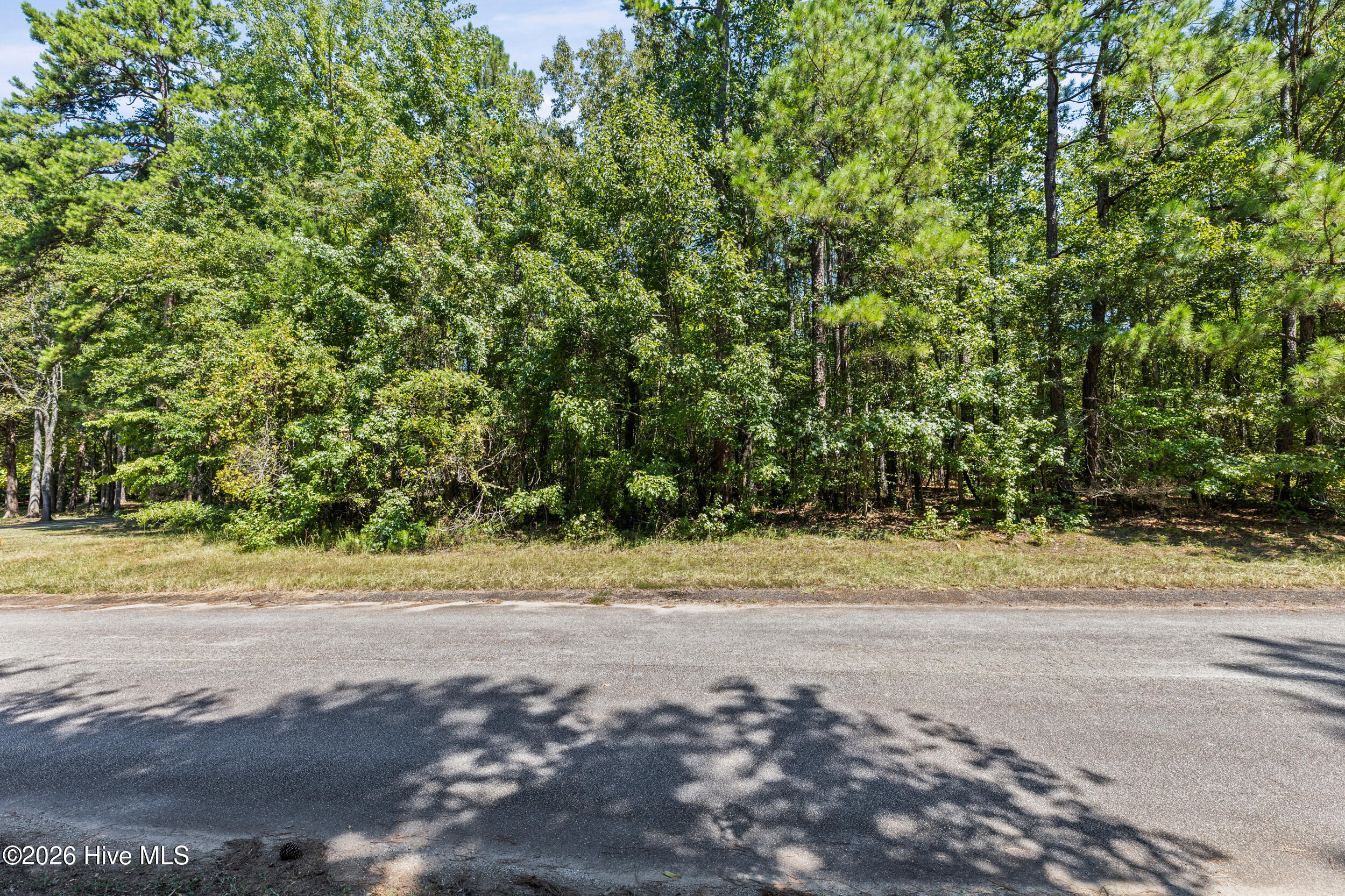 1384 Tanyard Creek Drive Property Photo 1