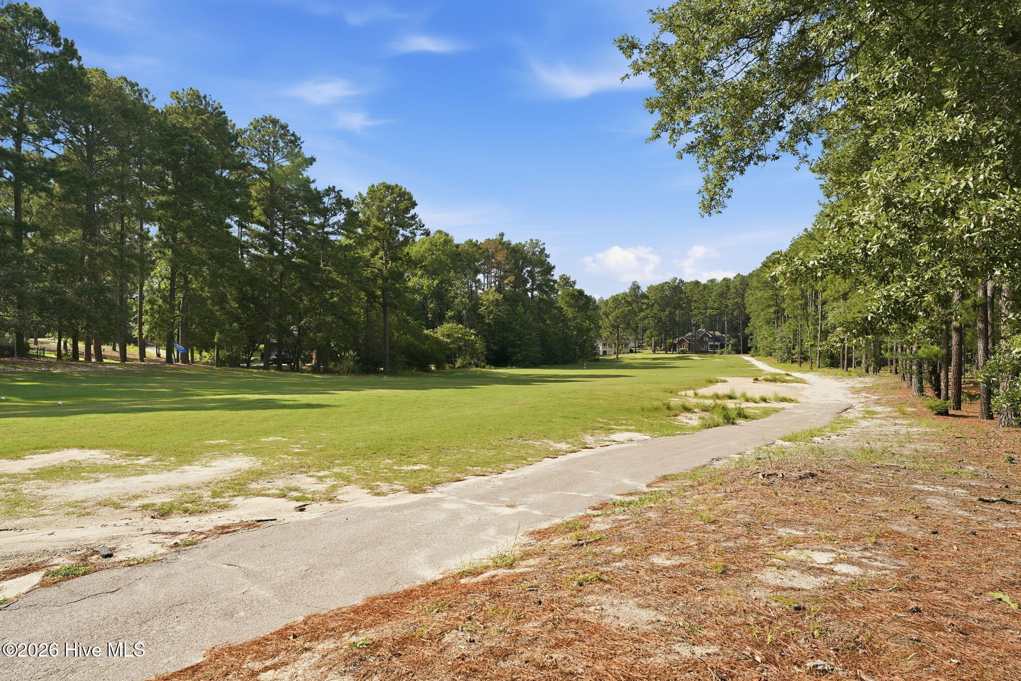 30000 Loblolly Court Property Photo 33