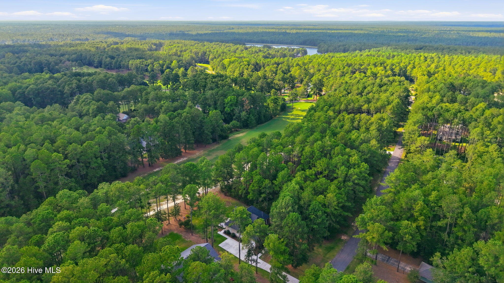 30000 Loblolly Court Property Photo 36
