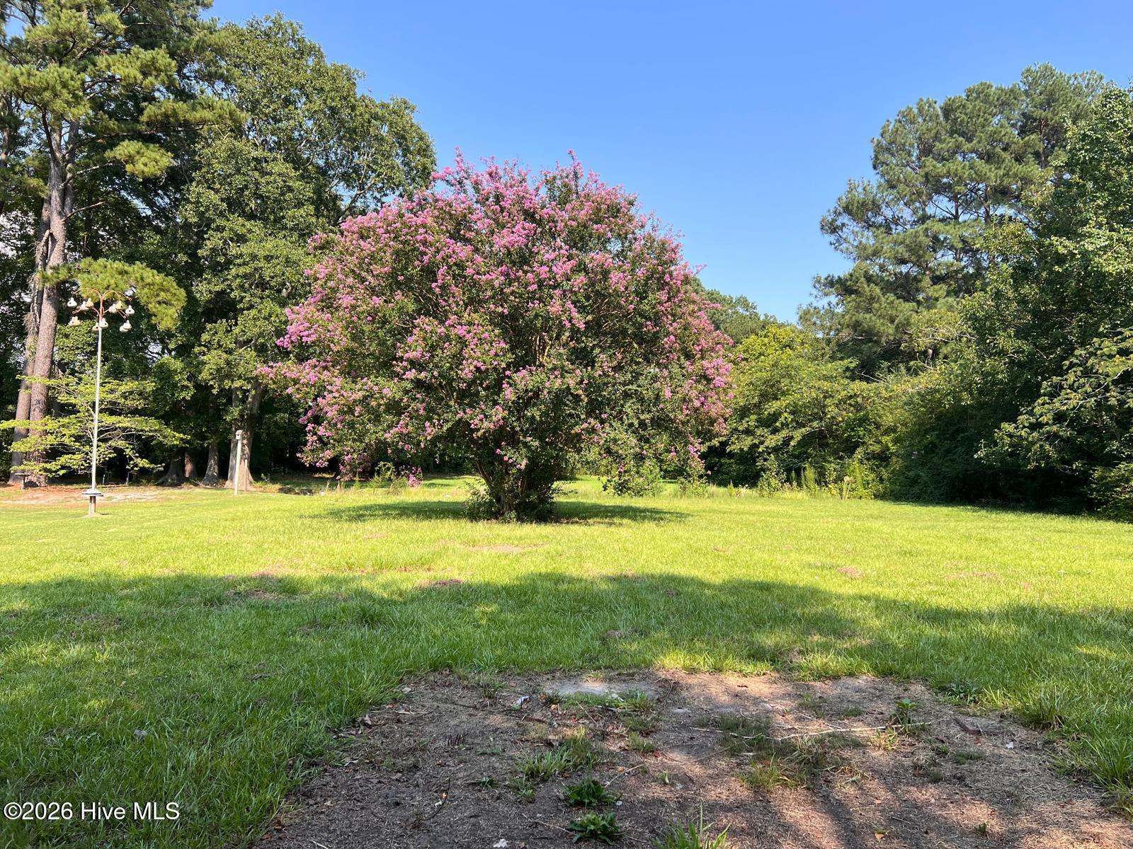 11701 Johns Road Property Photo 31