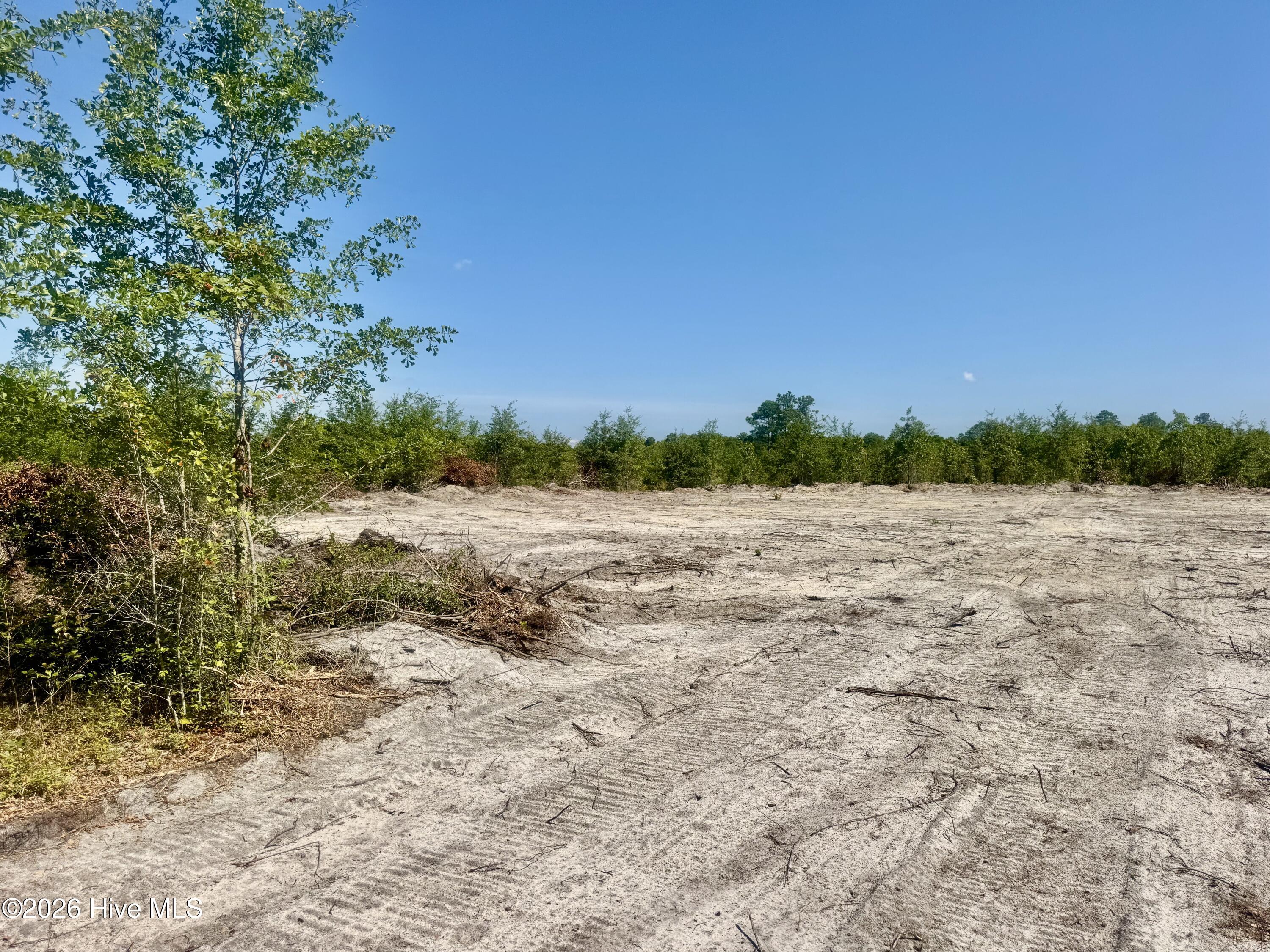 0 1 Dowd Dairy Road Property Photo 2