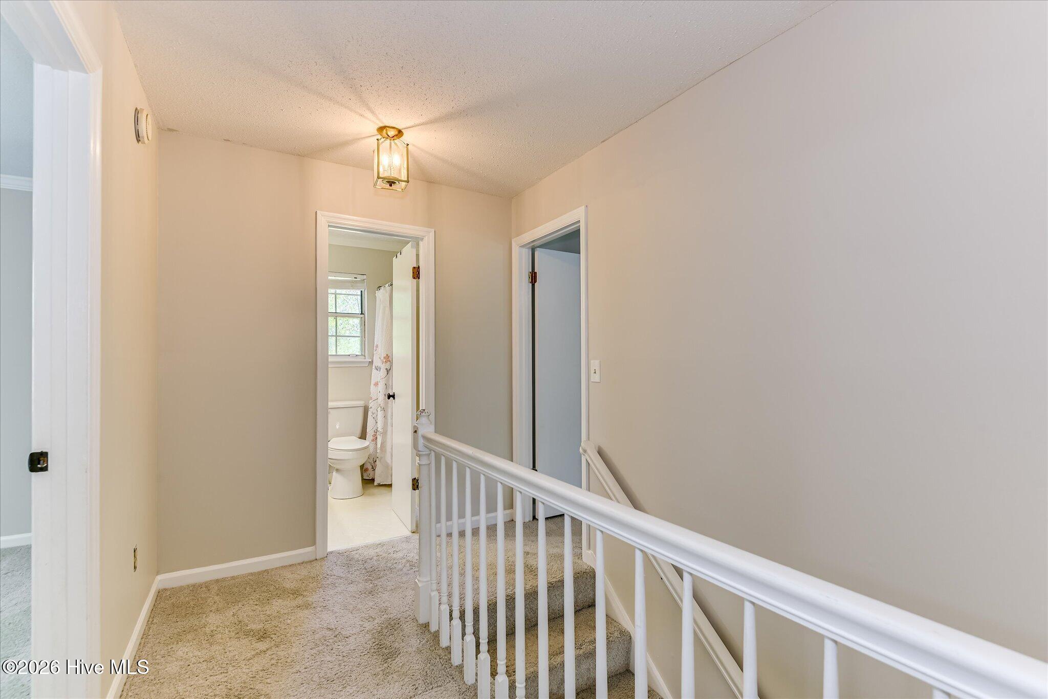 113 Maple Creek Drive Property Photo 30