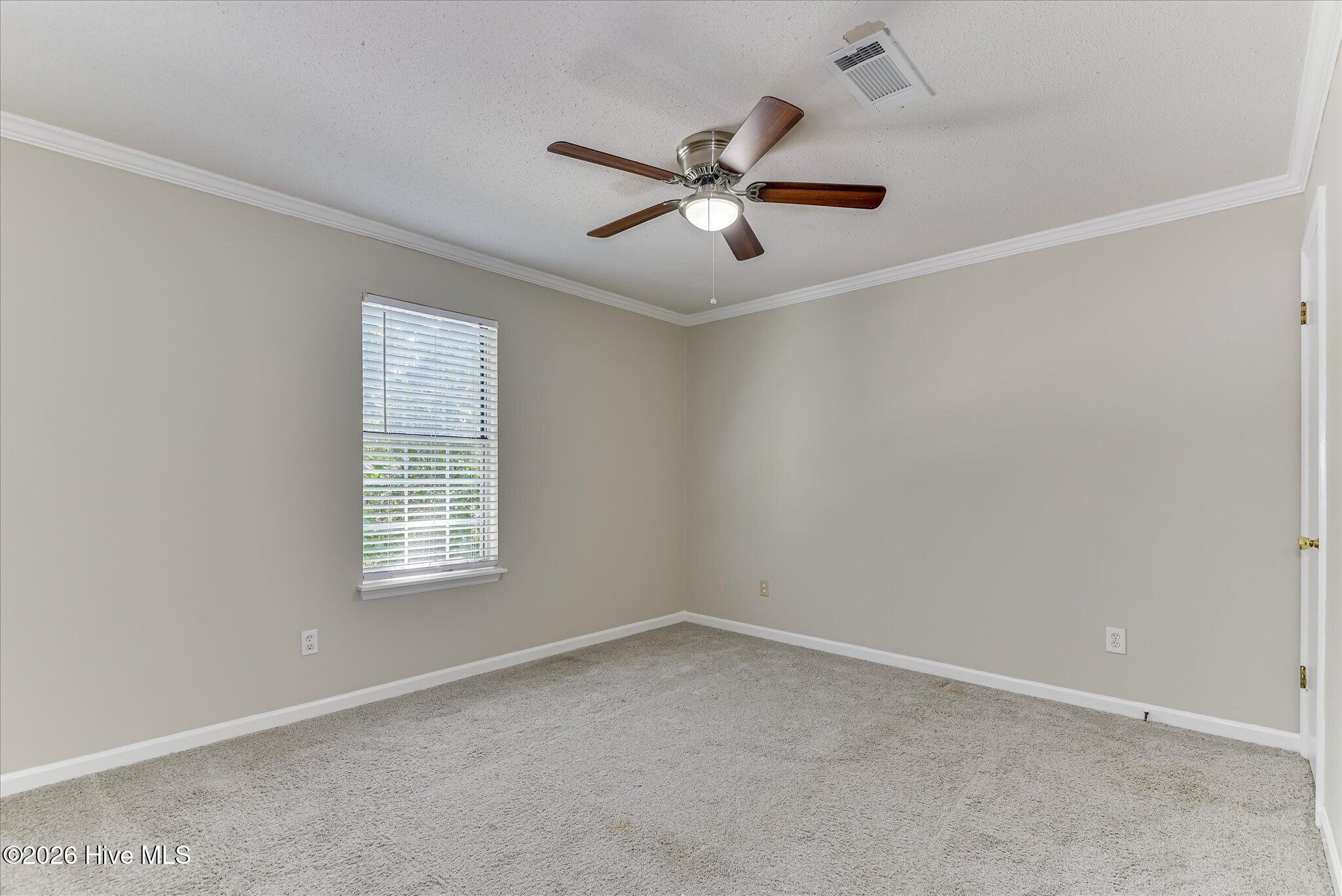 113 Maple Creek Drive Property Photo 38
