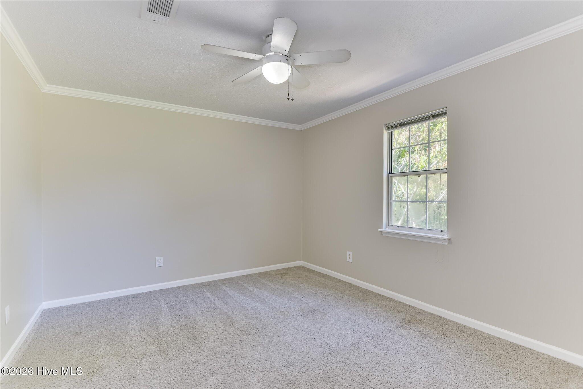 113 Maple Creek Drive Property Photo 42