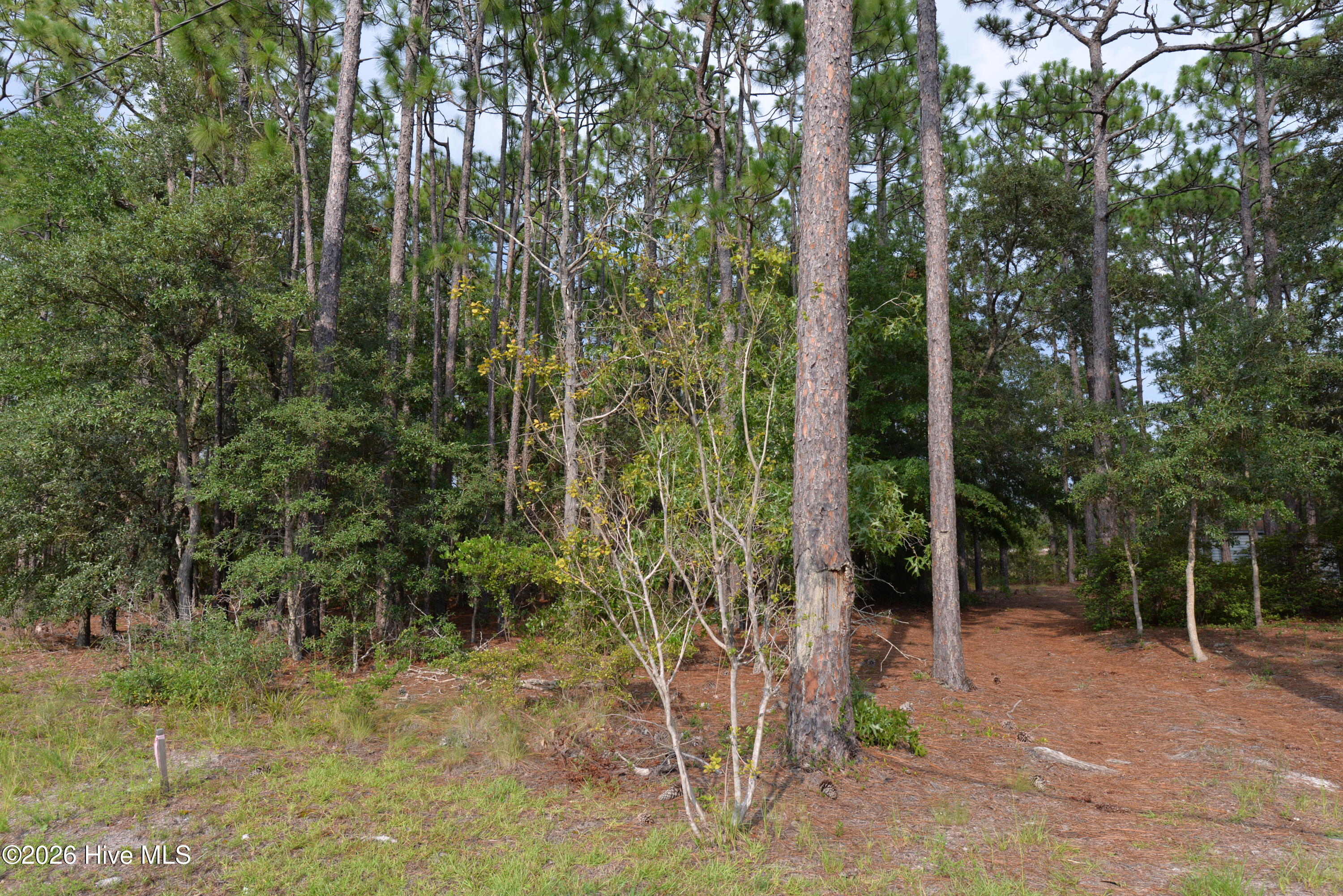 873 49 Eden Drive Property Photo 2