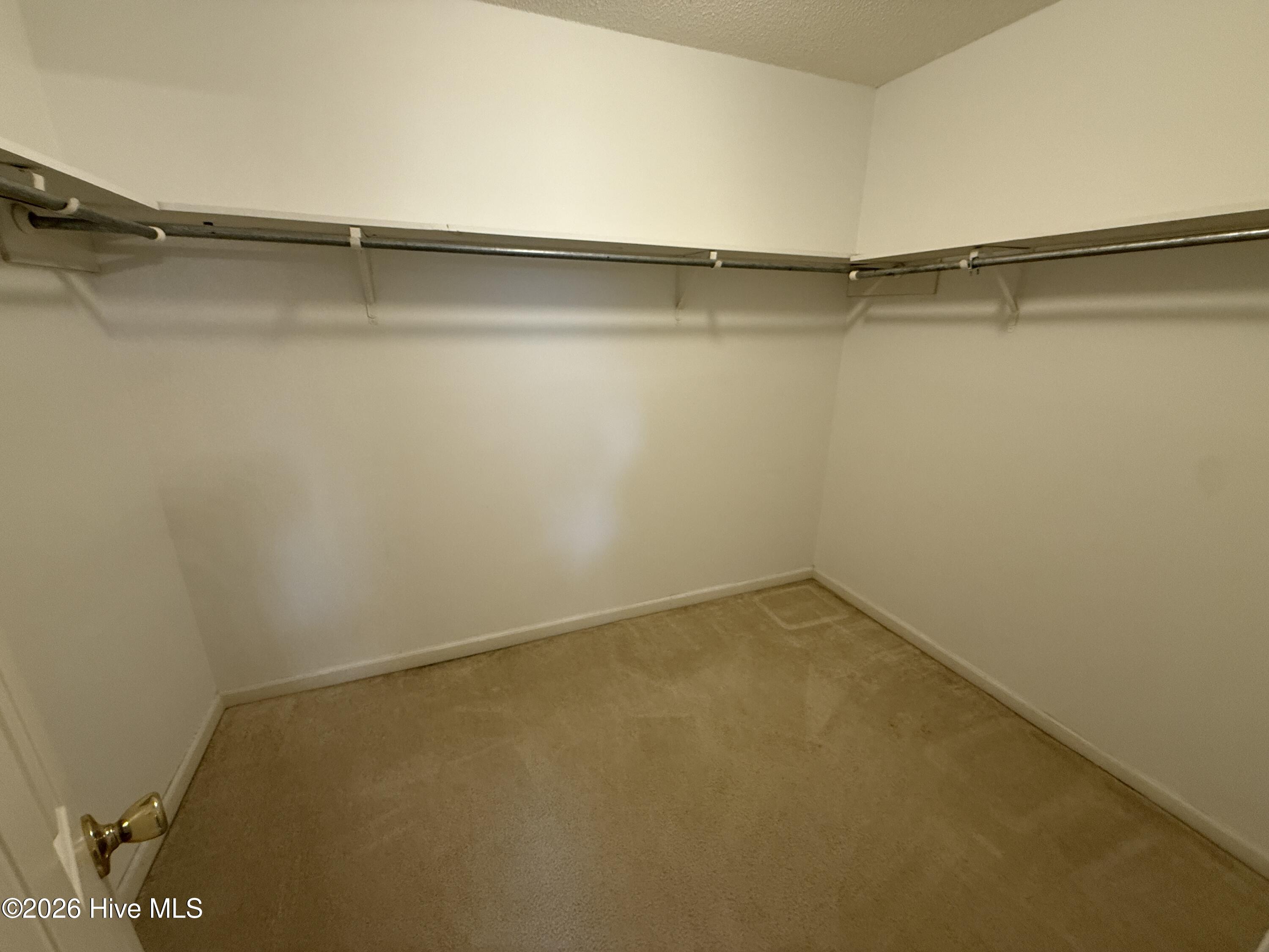2804 Mulberry Lane F Property Photo 14