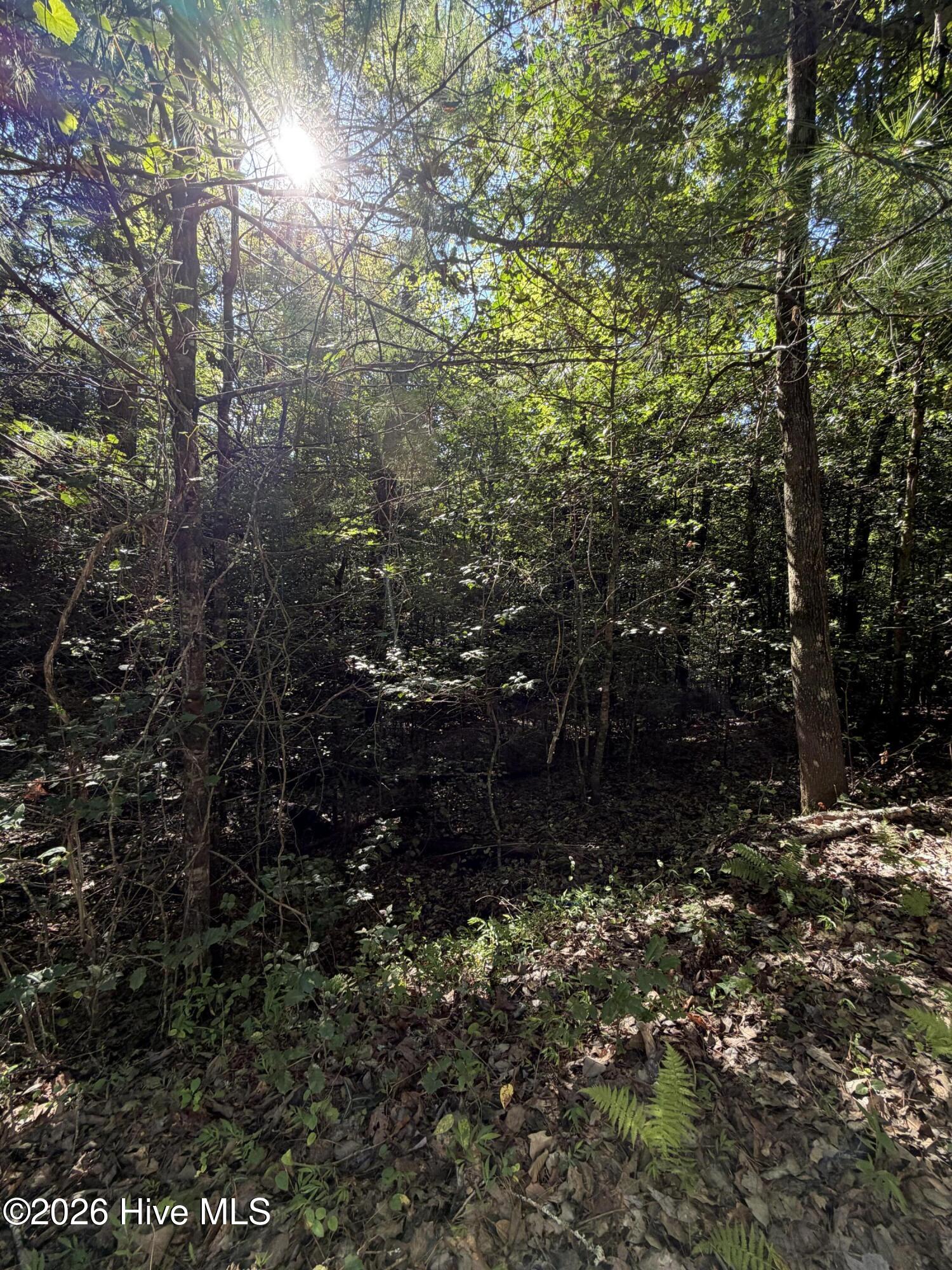 0 Explorer Ridge Property Photo 1