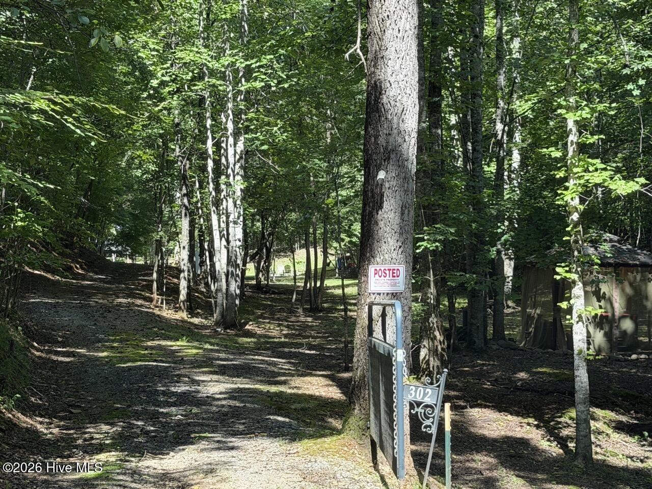 302 Dollie Sneed Lane Property Photo 1