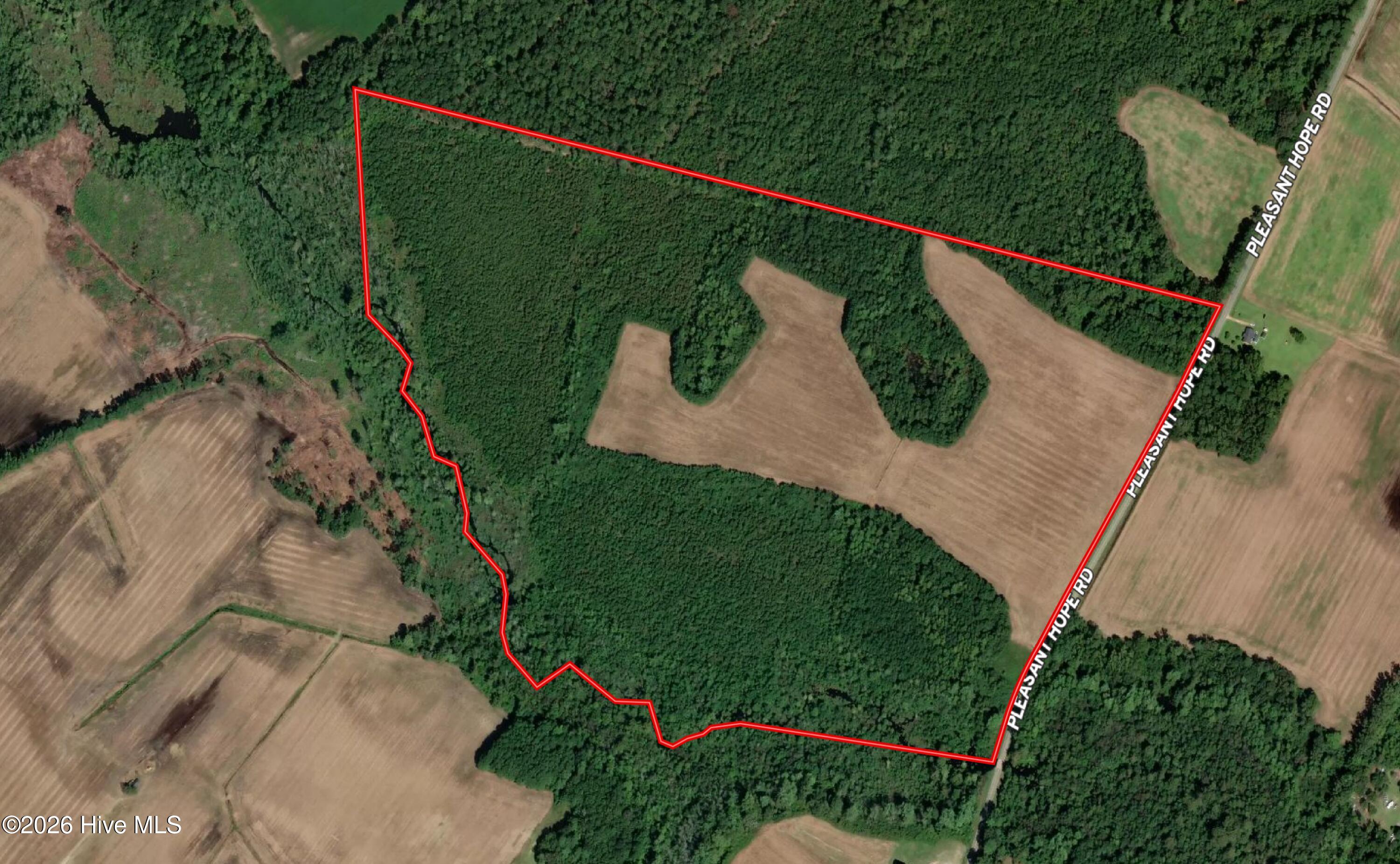 Tbd Pleasant Hope Road Property Photo 2