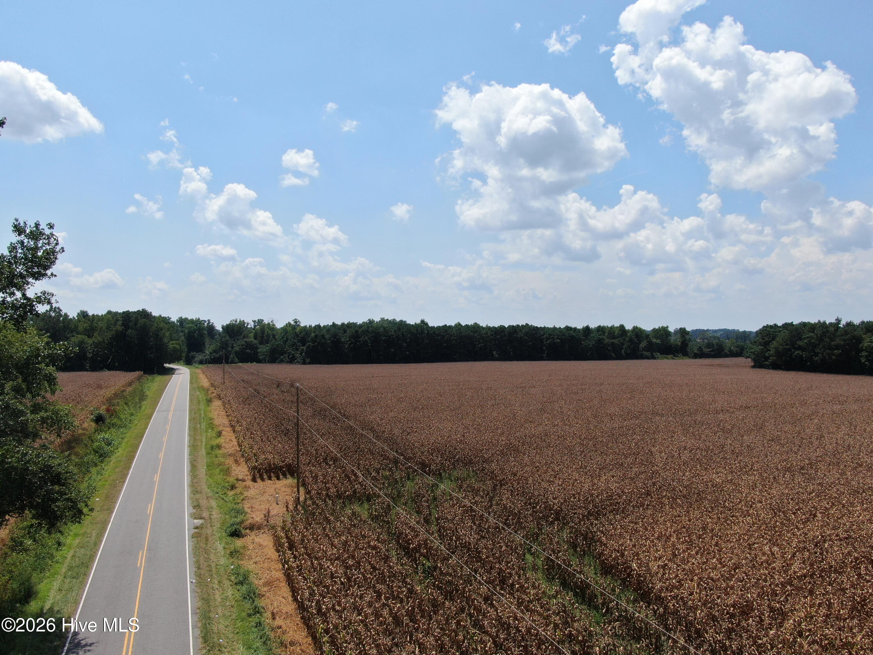 Tbd Pleasant Hope Road Property Photo 5