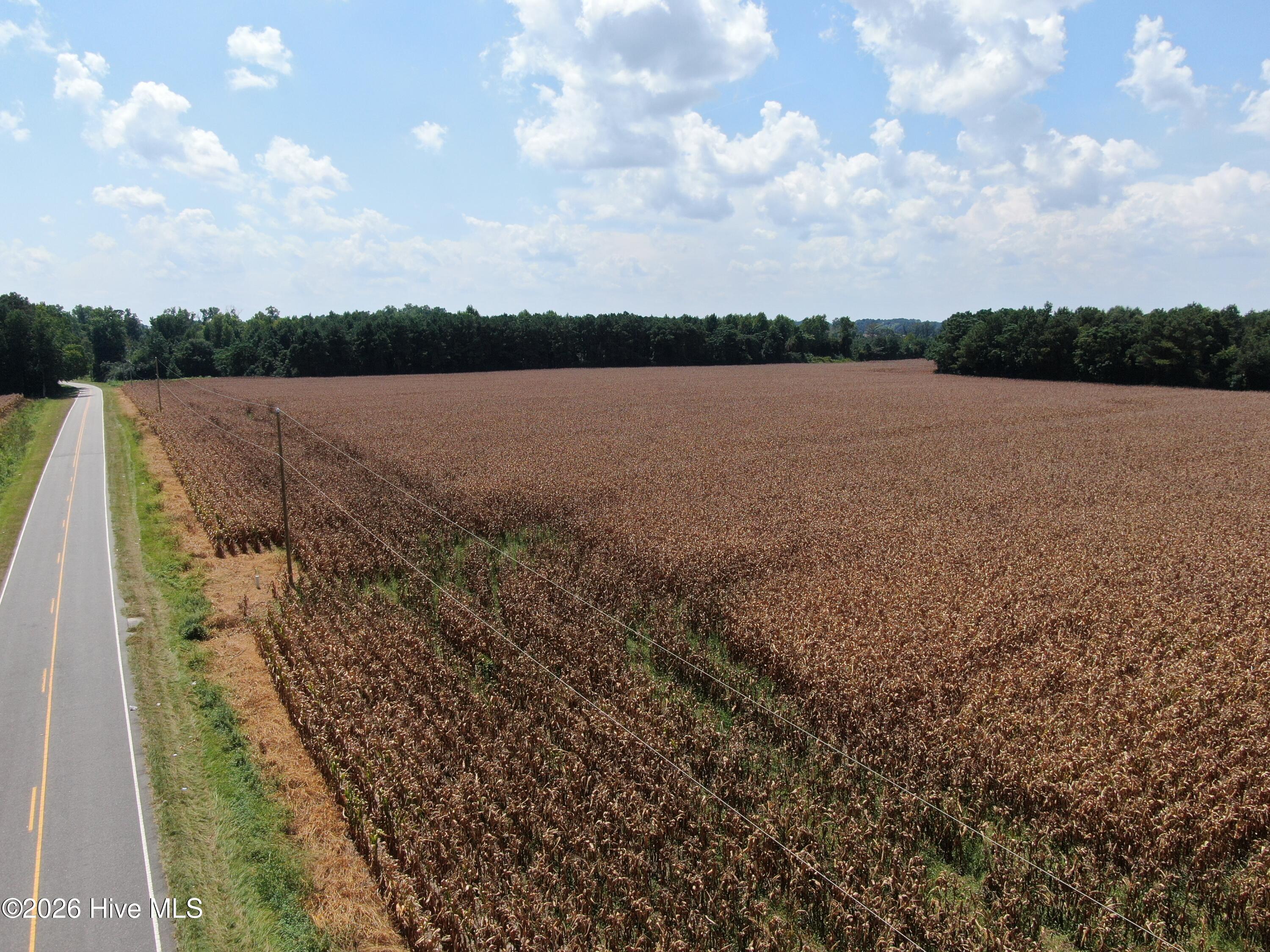 Tbd Pleasant Hope Road Property Photo 6
