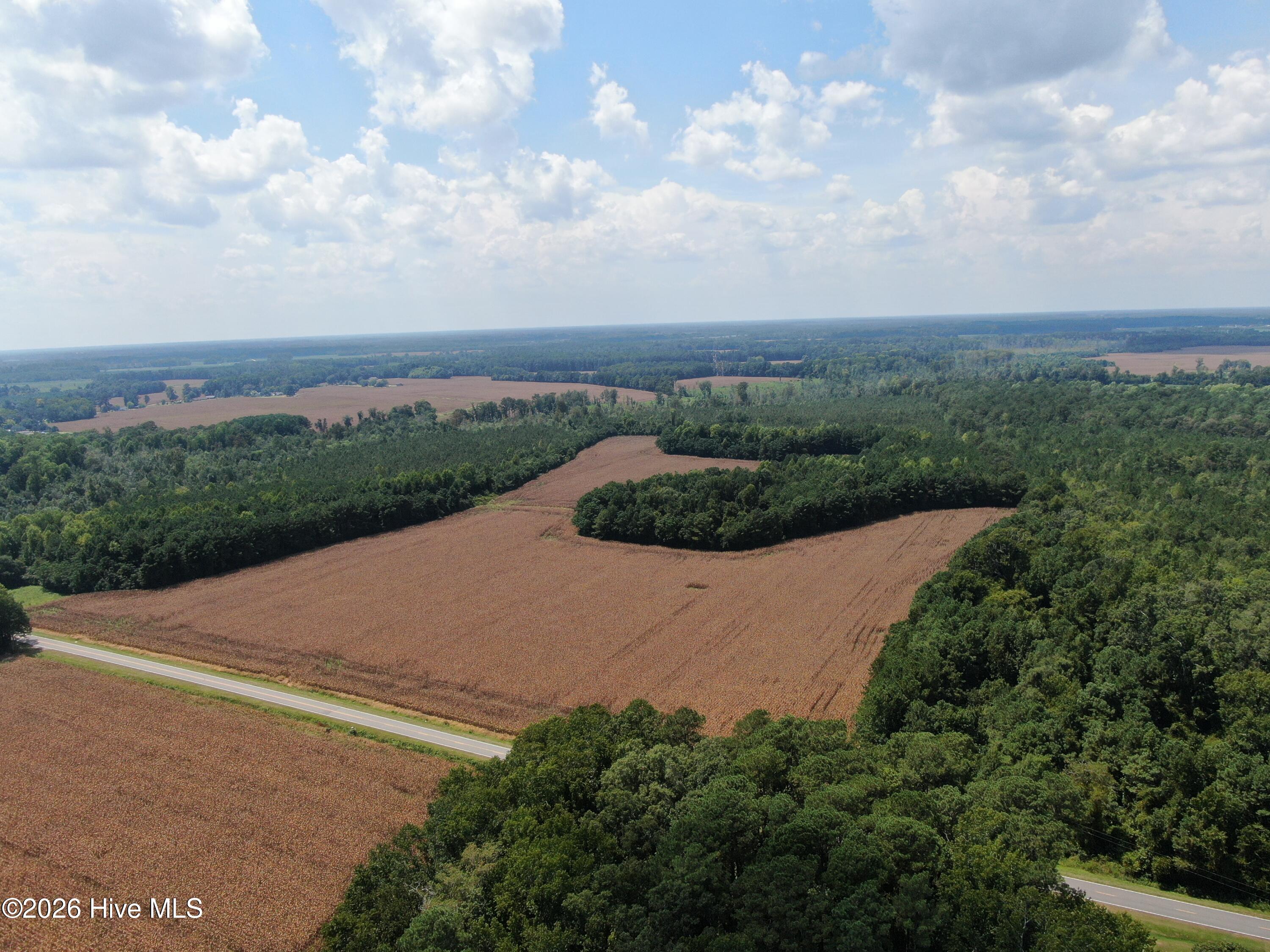 Tbd Pleasant Hope Road Property Photo 7