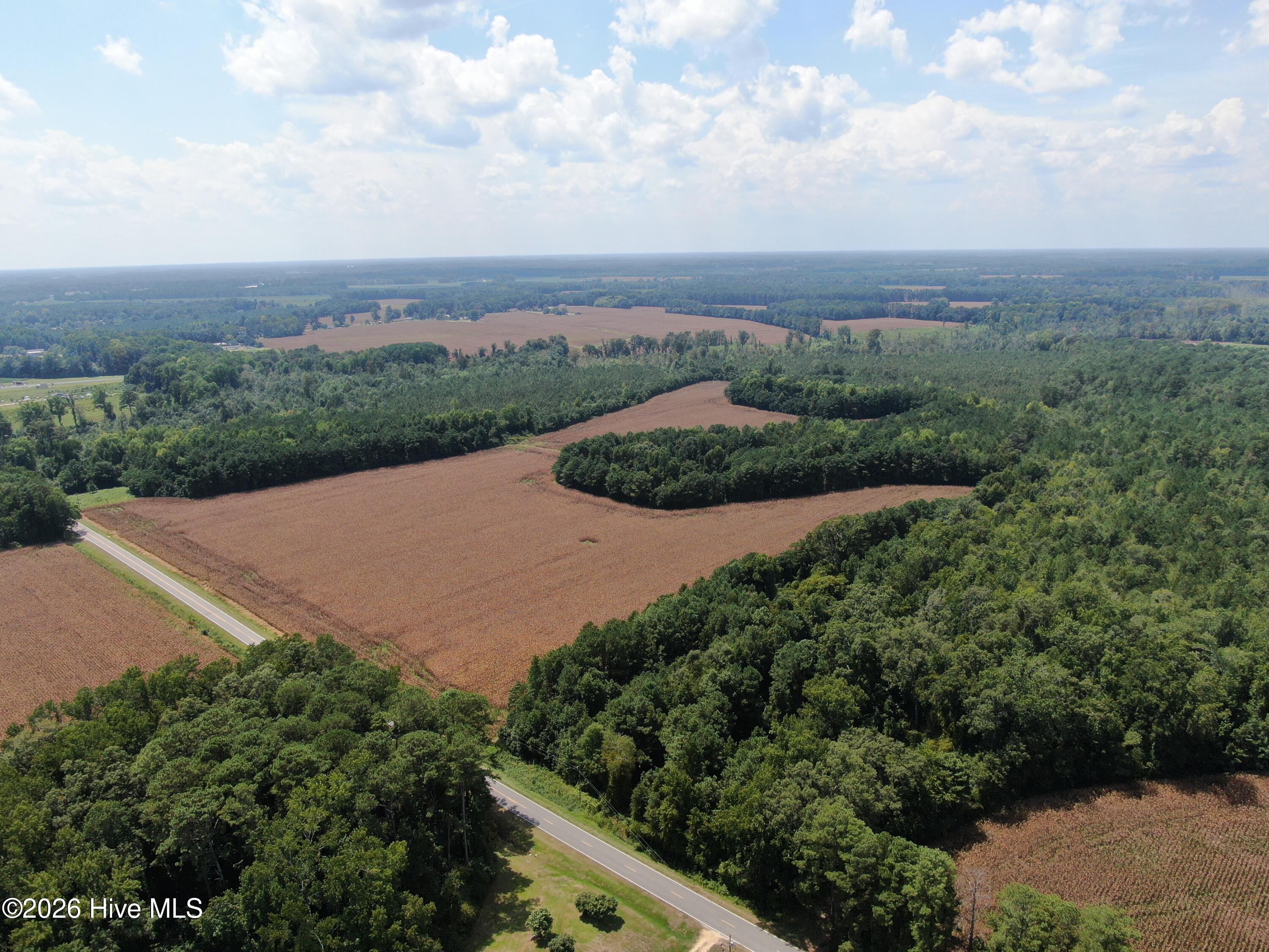 Tbd Pleasant Hope Road Property Photo 8