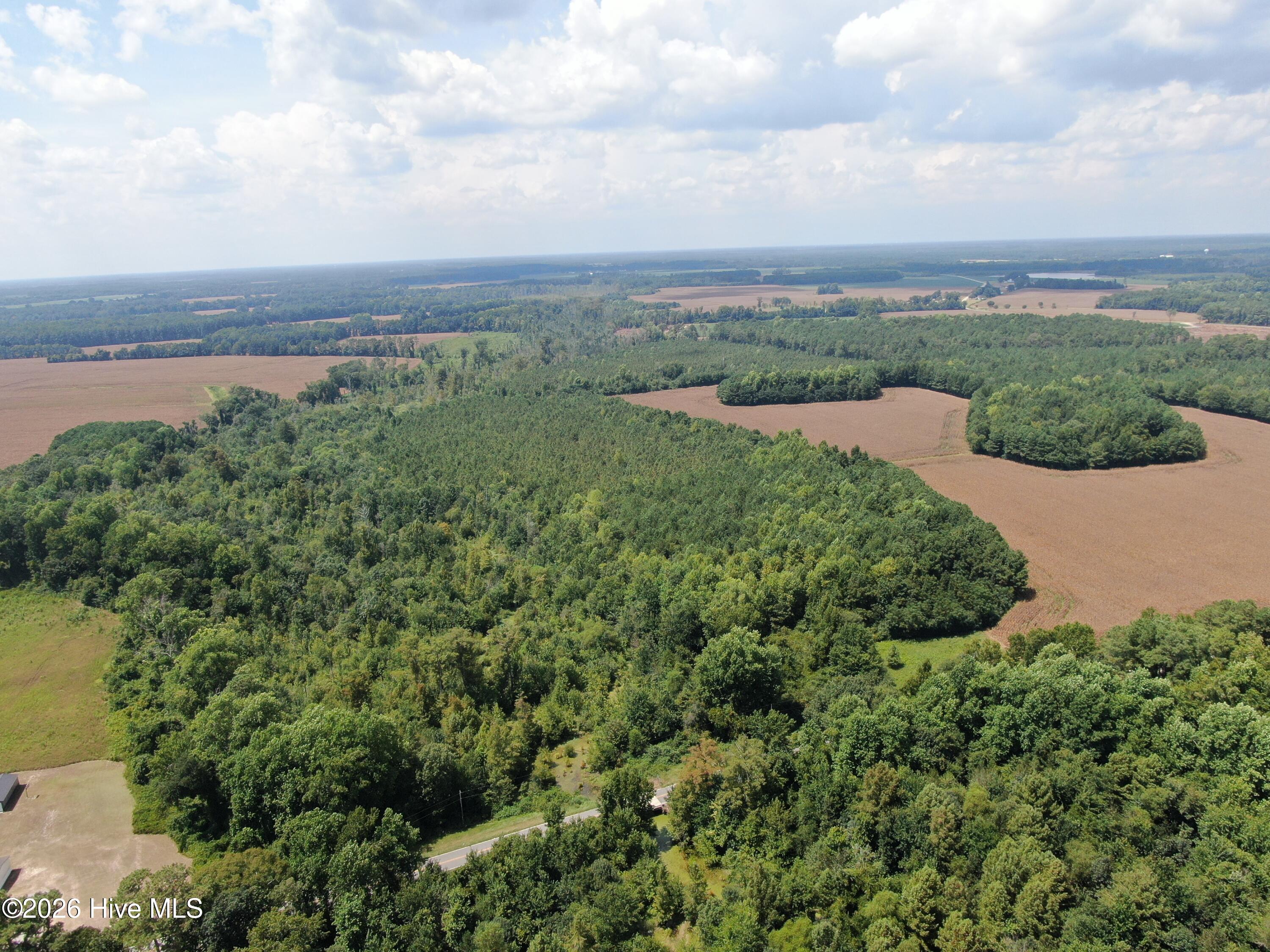 Tbd Pleasant Hope Road Property Photo 9