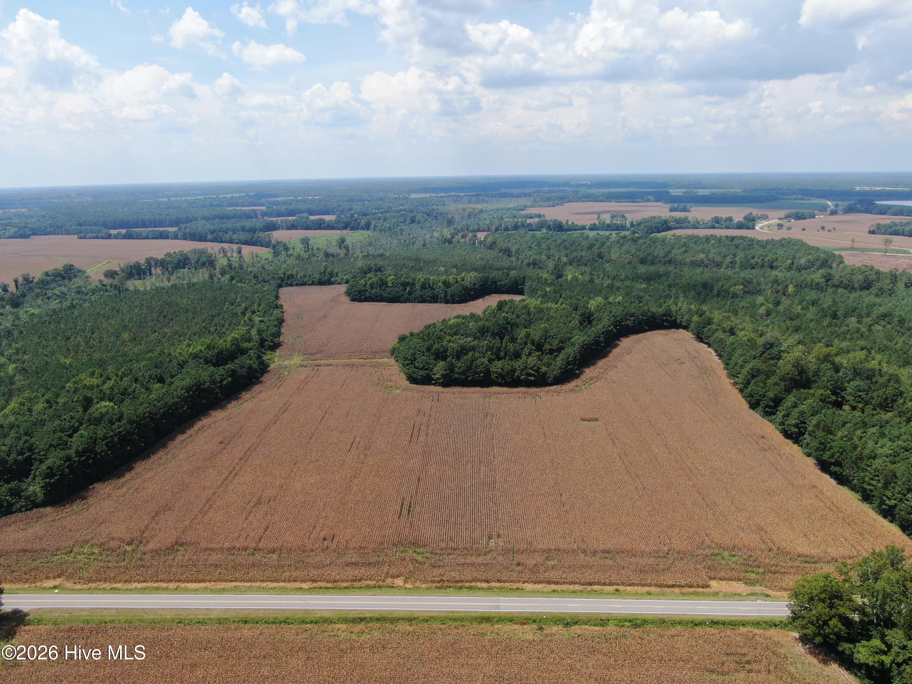 Tbd Pleasant Hope Road Property Photo 10
