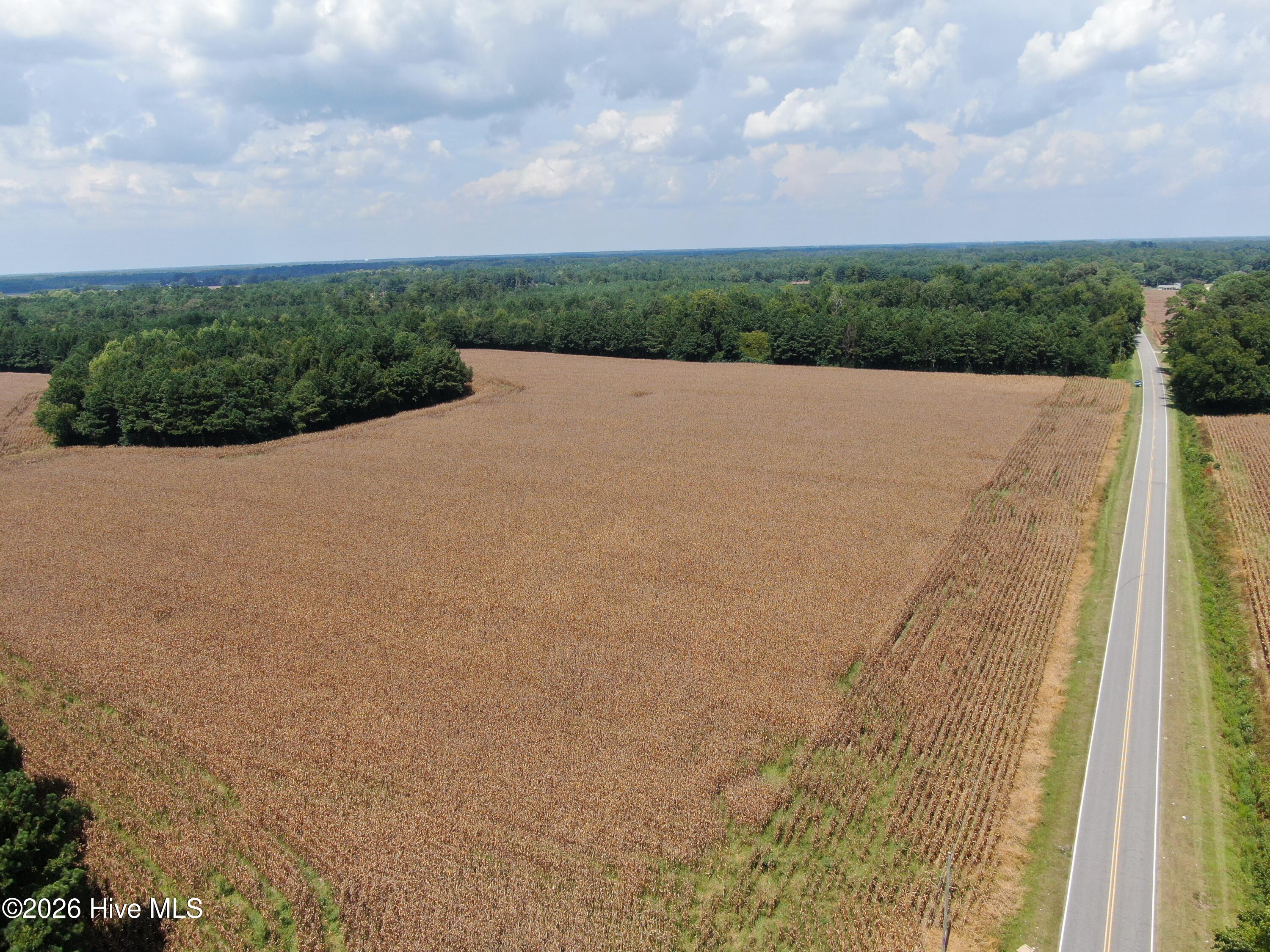 Tbd Pleasant Hope Road Property Photo 11