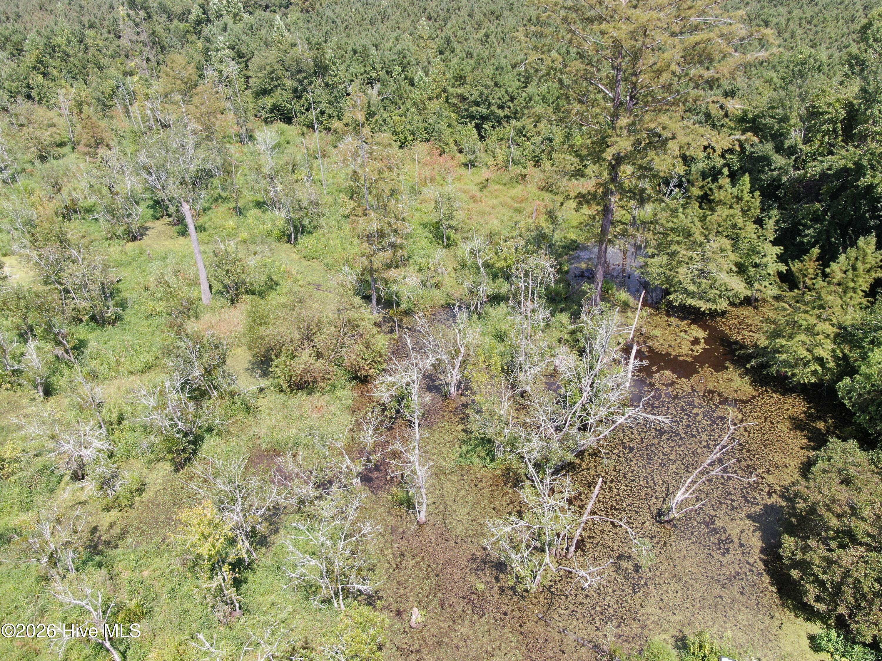 Tbd Pleasant Hope Road Property Photo 12