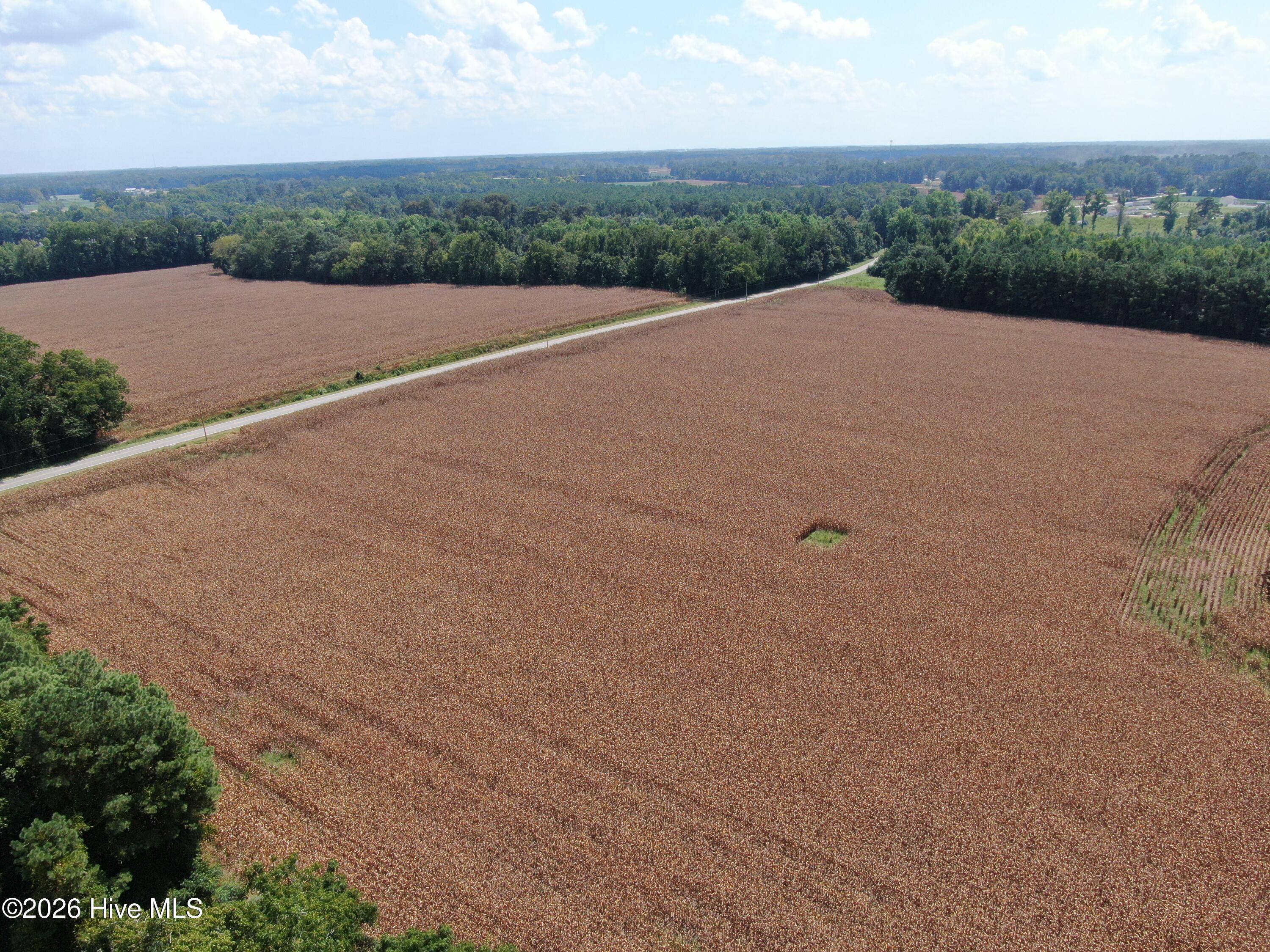 Tbd Pleasant Hope Road Property Photo 13