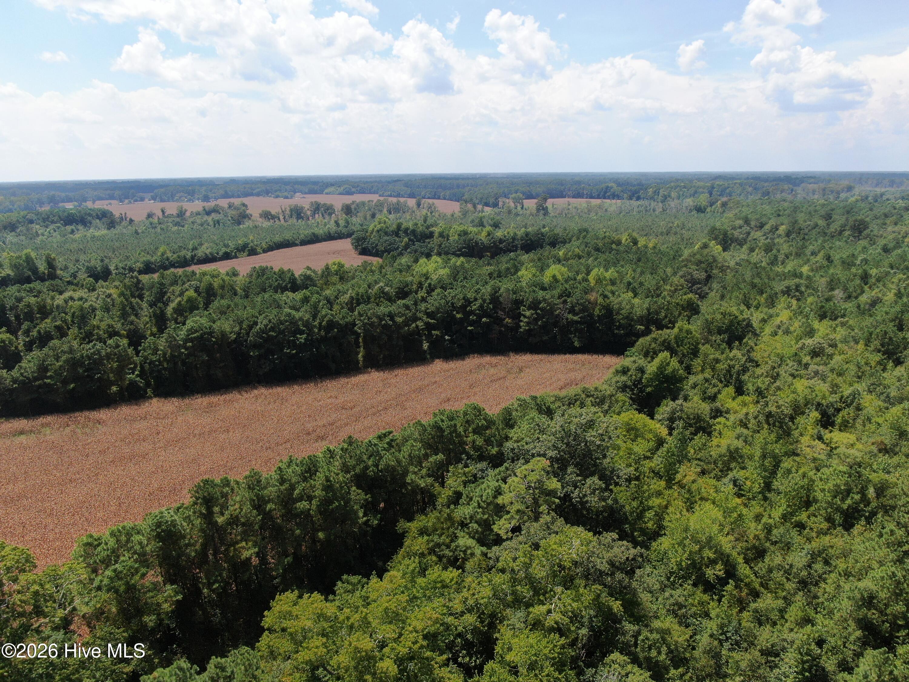 Tbd Pleasant Hope Road Property Photo 14