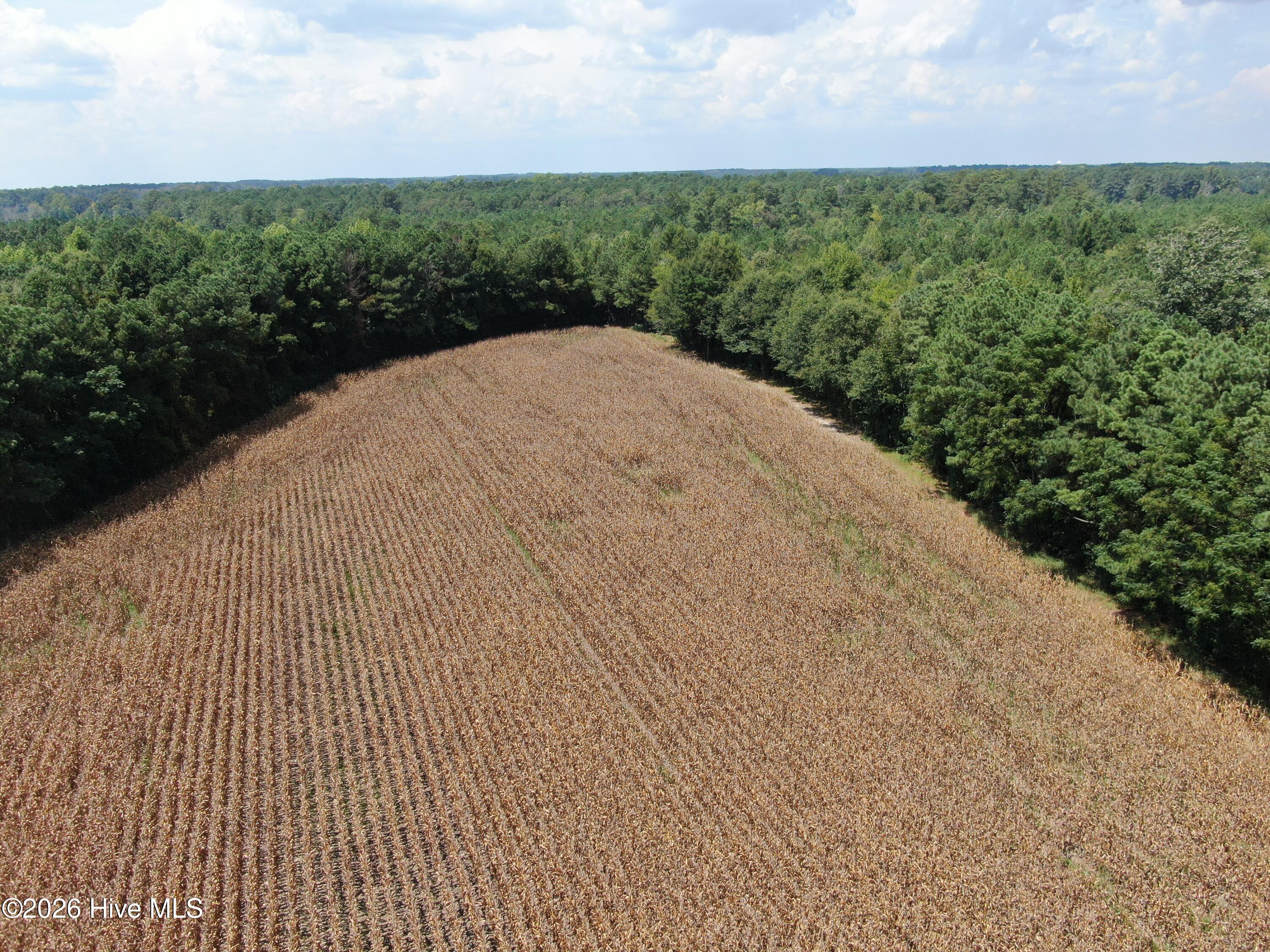 Tbd Pleasant Hope Road Property Photo 15