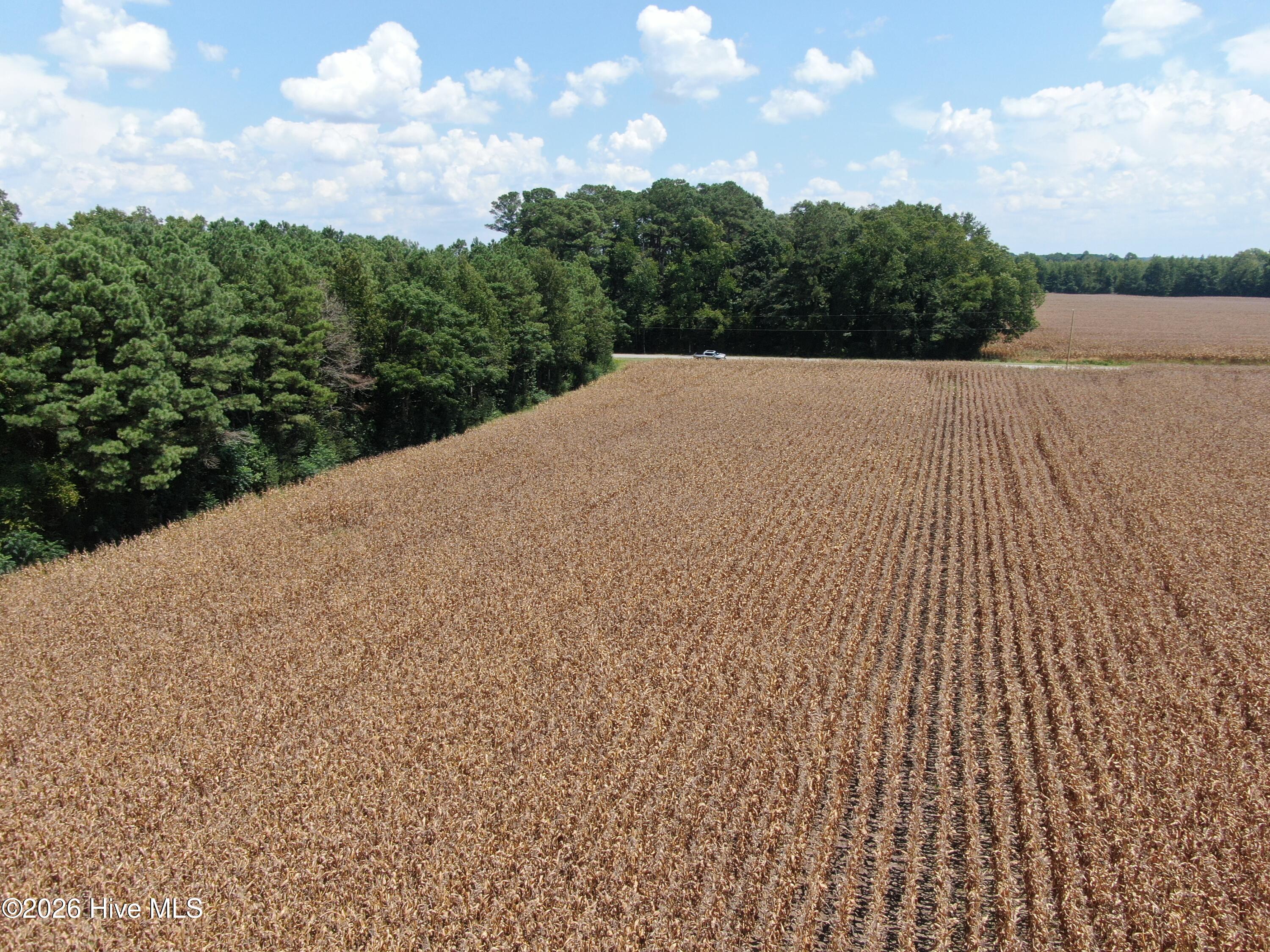 Tbd Pleasant Hope Road Property Photo 16